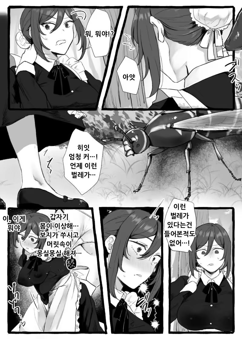 Content 3161076 - 2 페이지