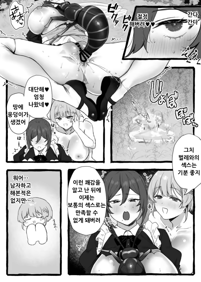 Content 3161076 - 31 페이지