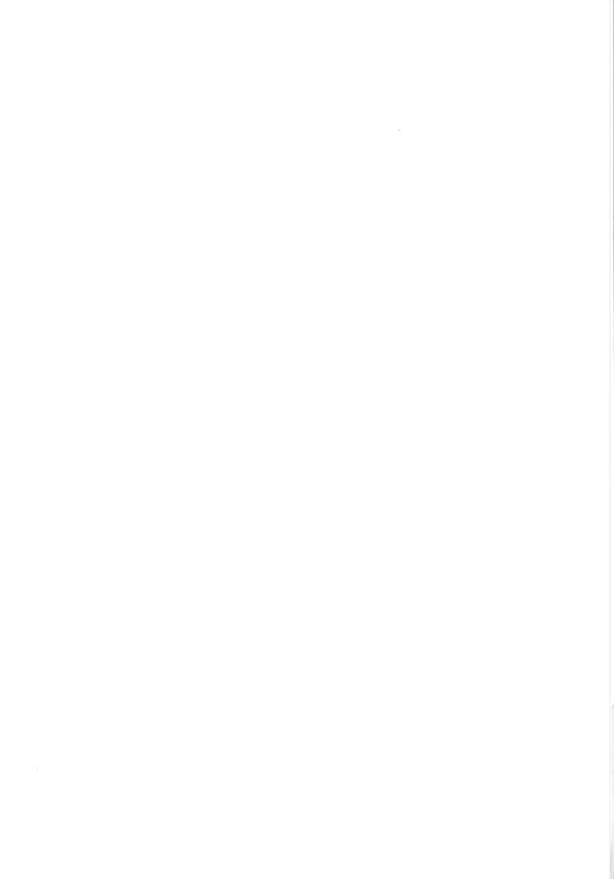 Content 3167120 - 36 페이지