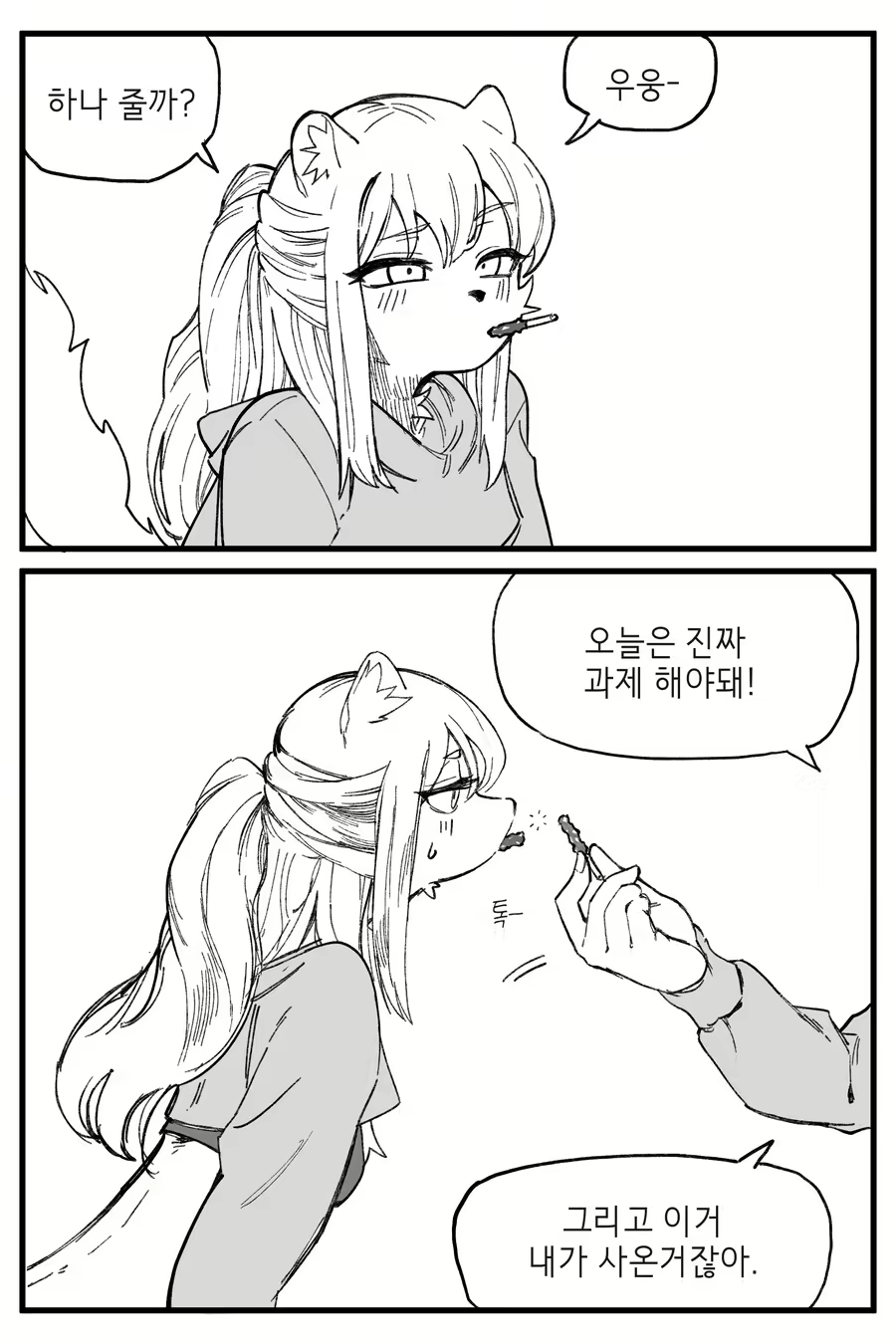 Content 3174617 - 146 페이지