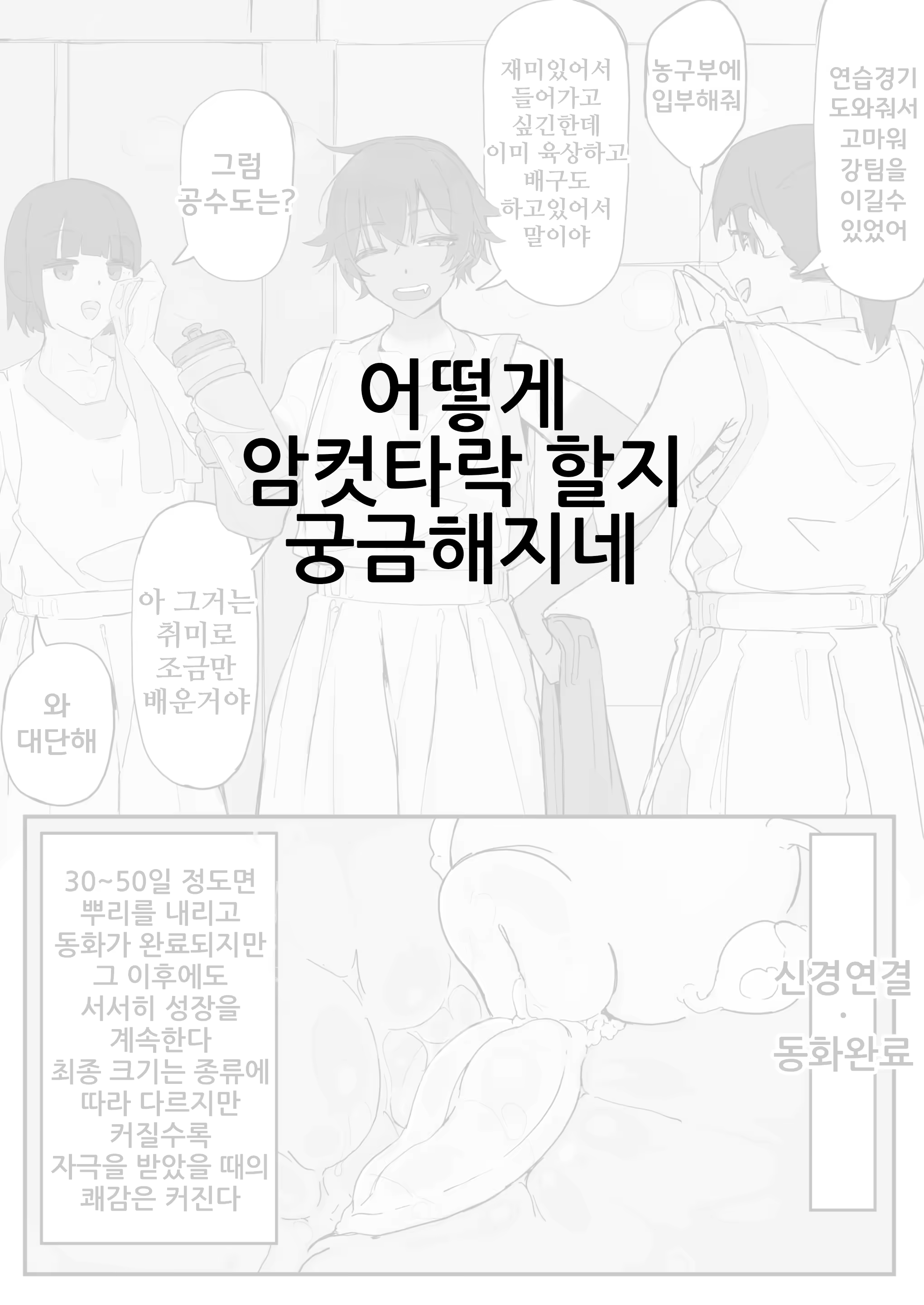 Content 3180160 - 11 페이지