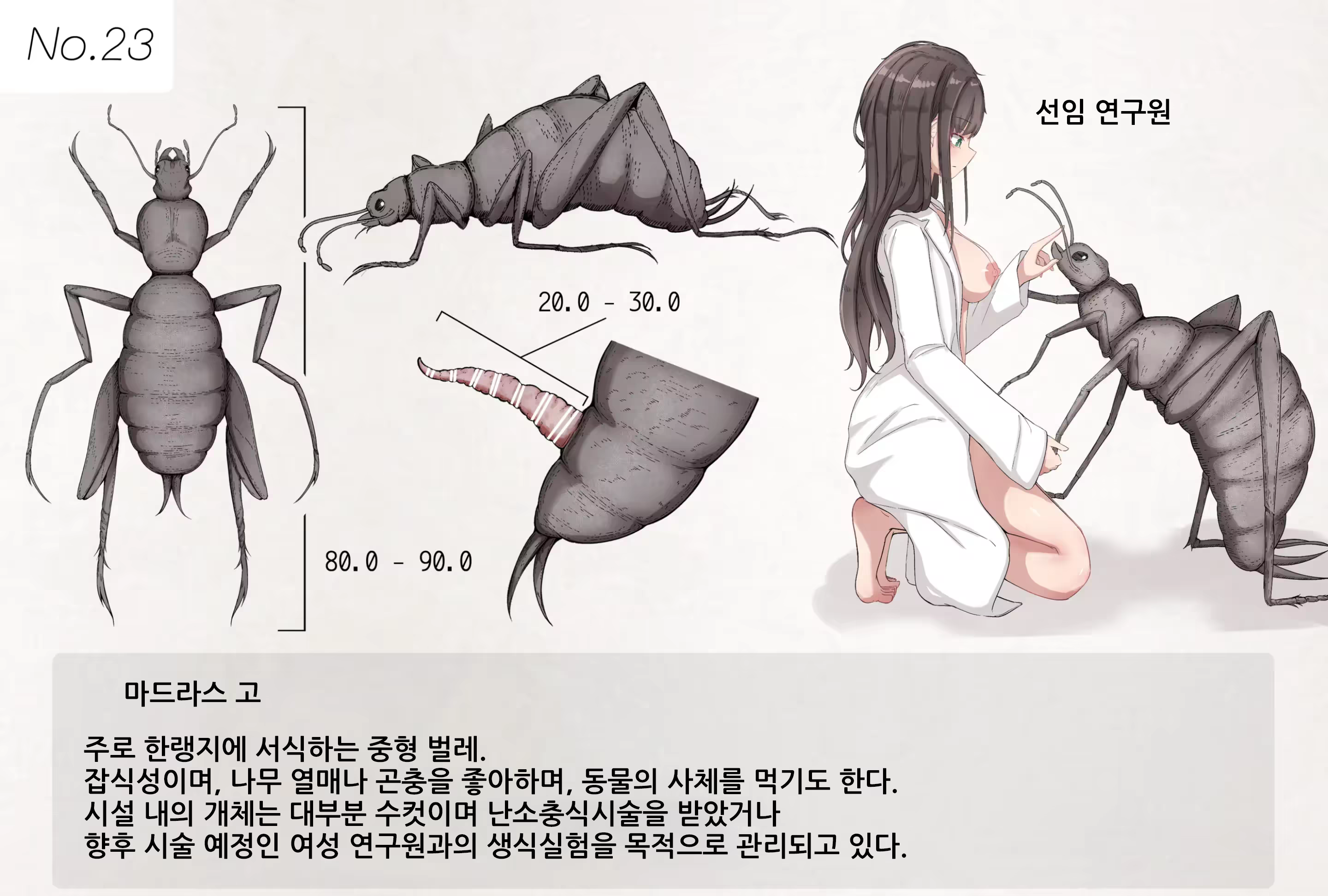 Content 3182614 - 1 페이지