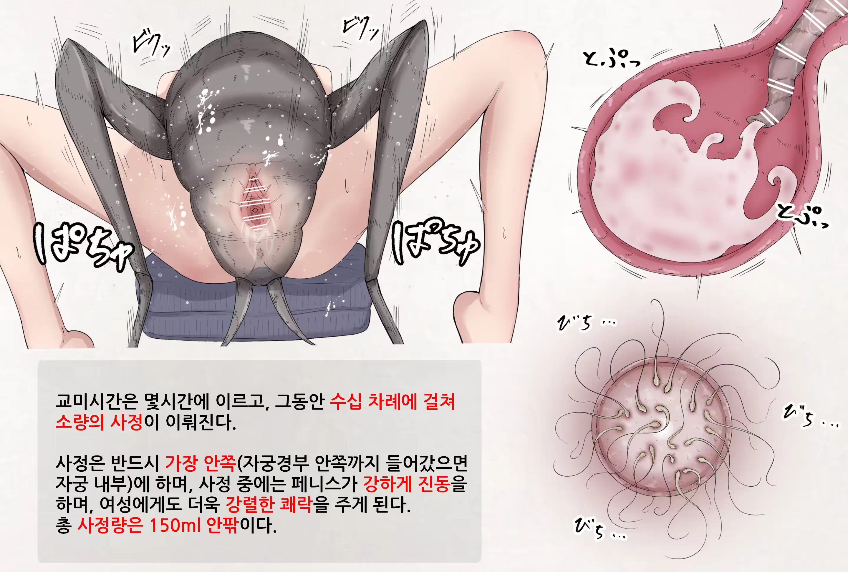 Content 3182614 - 4 페이지