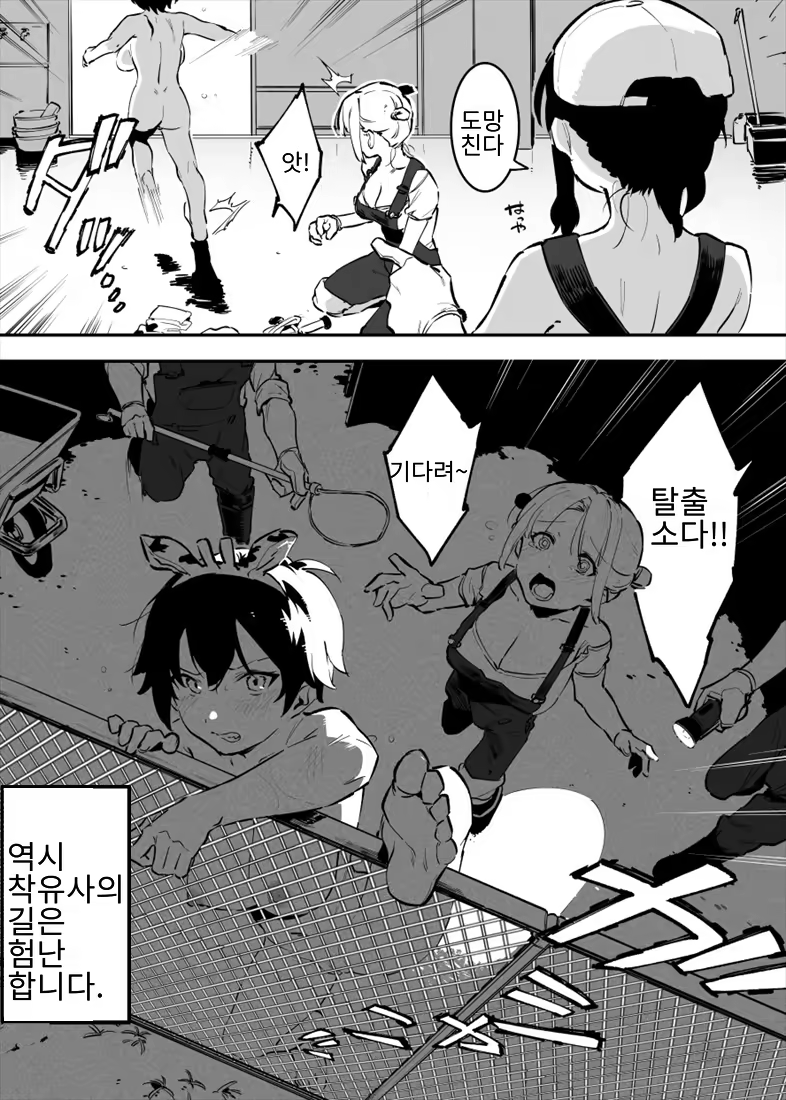 Content 3195835 - 81 페이지