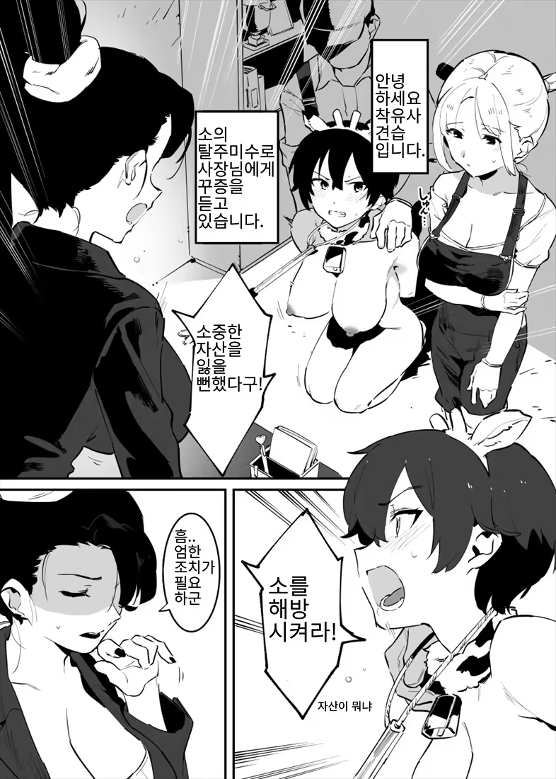 Content 3195835 - 82 페이지