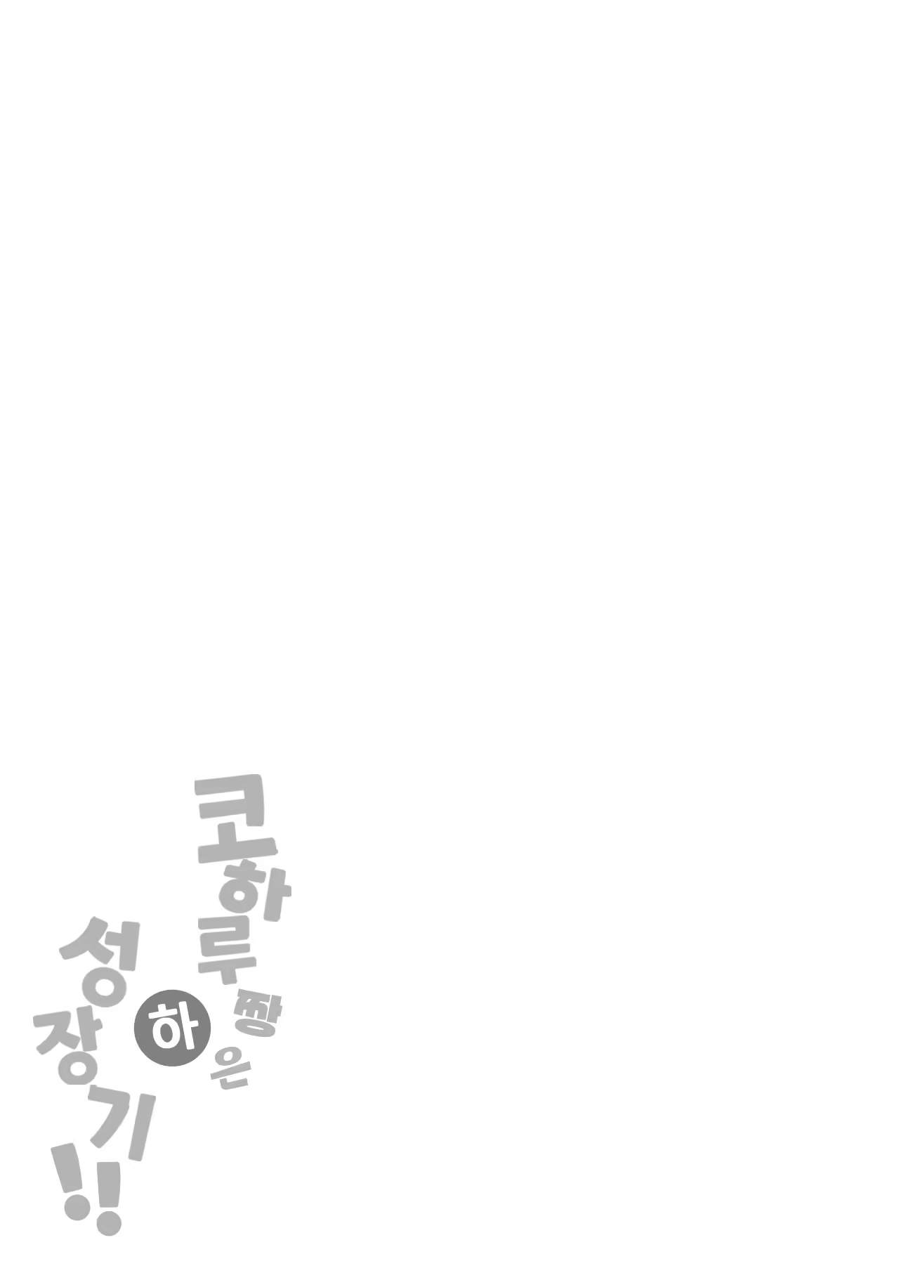 Content 3196505 - 13 페이지