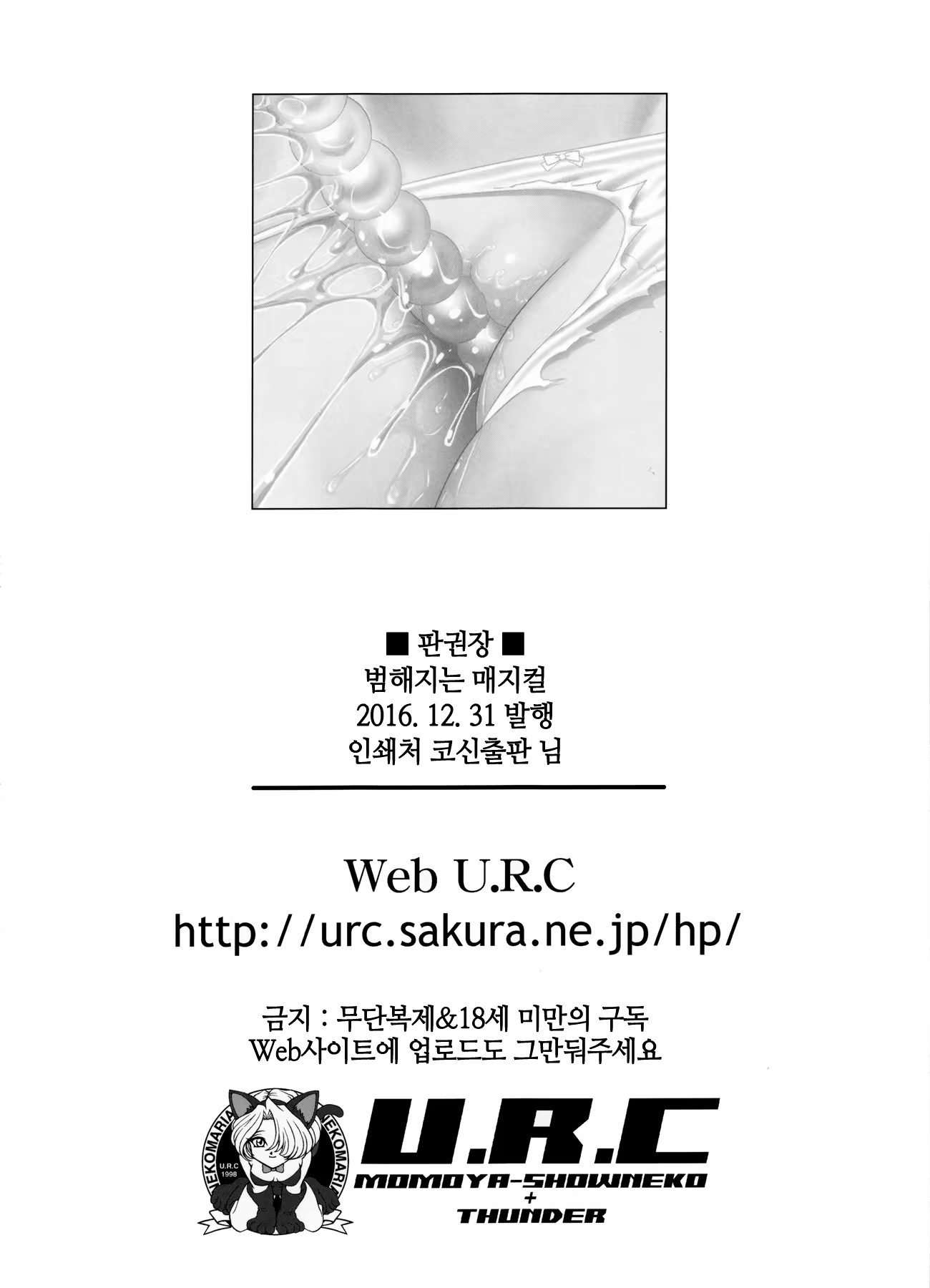Content 3202599 - 49 페이지