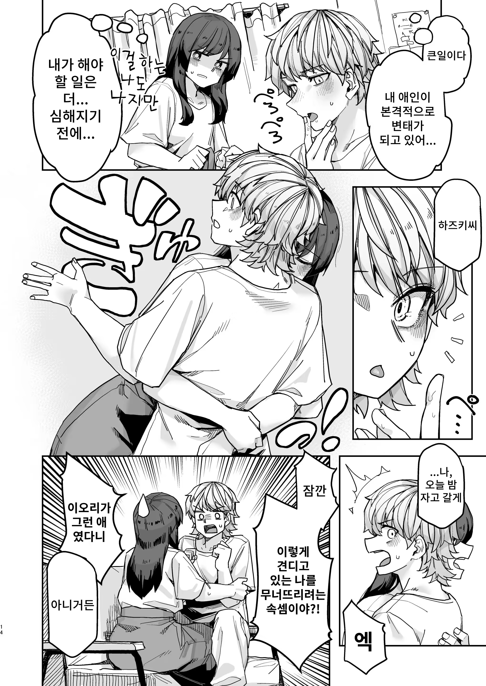 Content 3202637 - 14 페이지