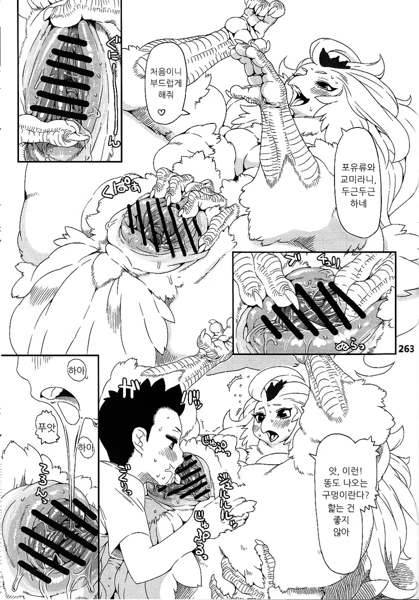 Content 3220116 - 13 페이지