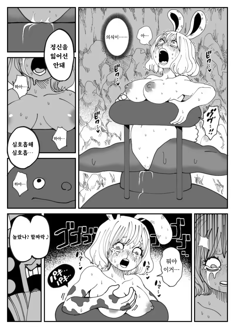 Content 3227907 - 5 페이지