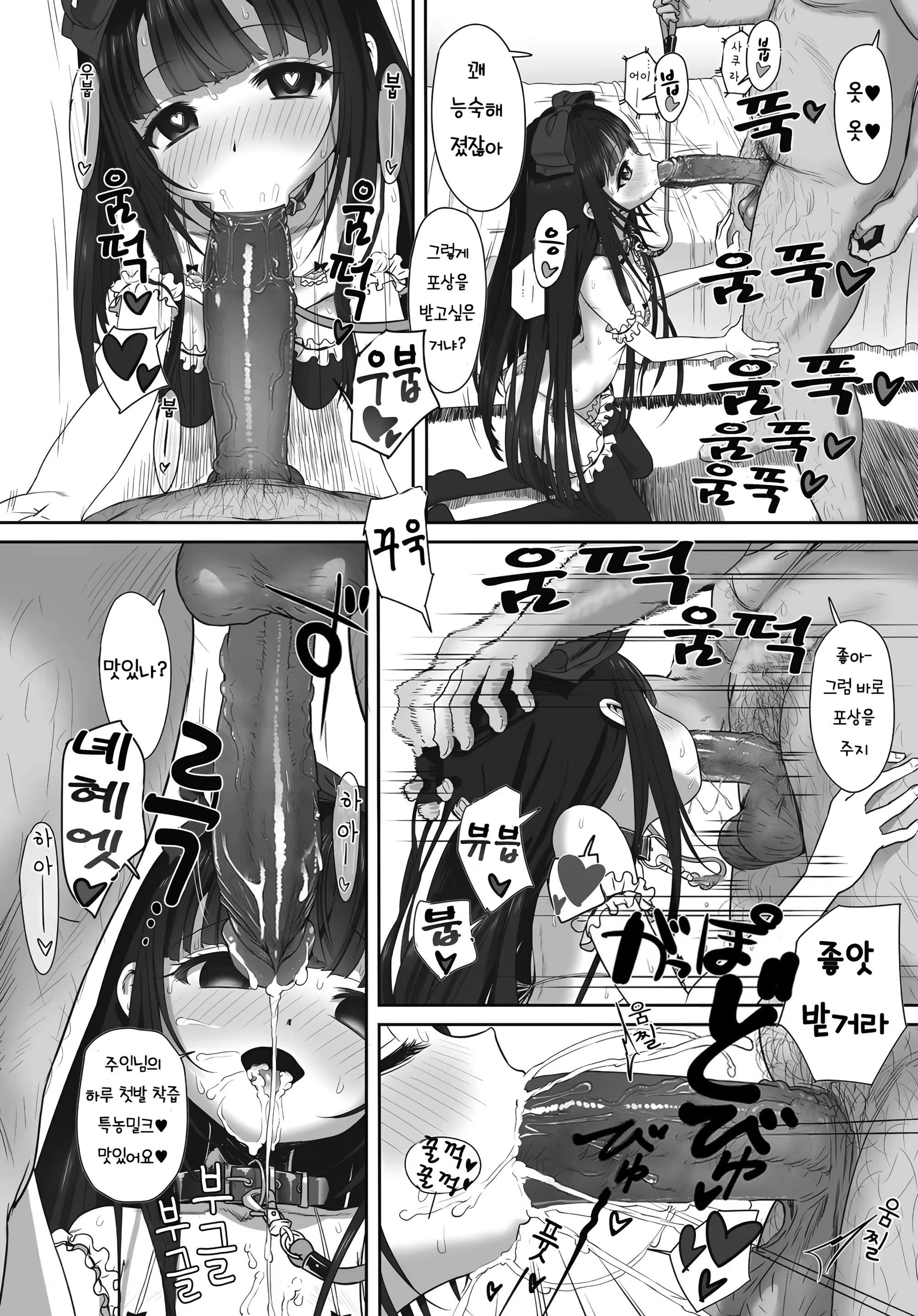 Content 3238237 - 16 페이지