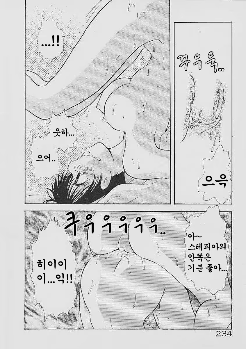 Content 324308 - 234 페이지