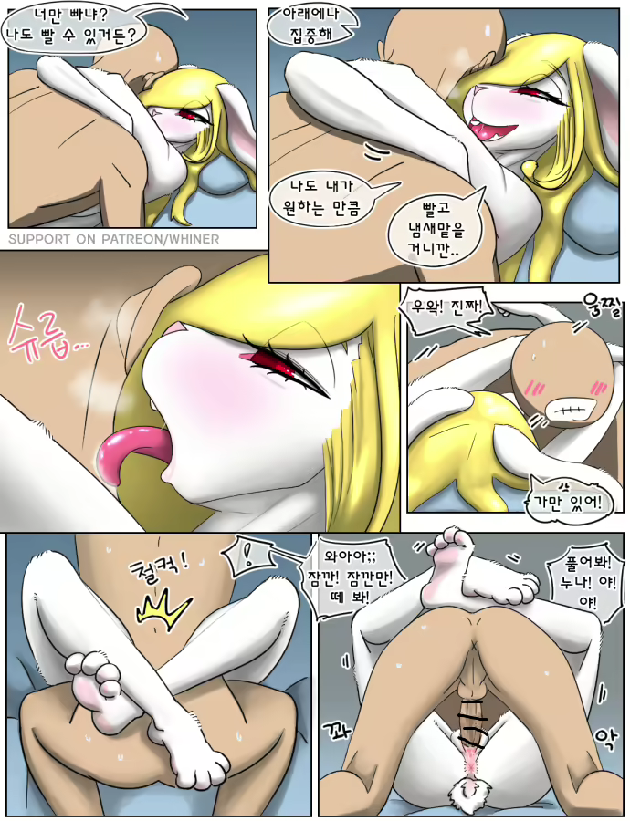 Content 3244821 - 61 페이지