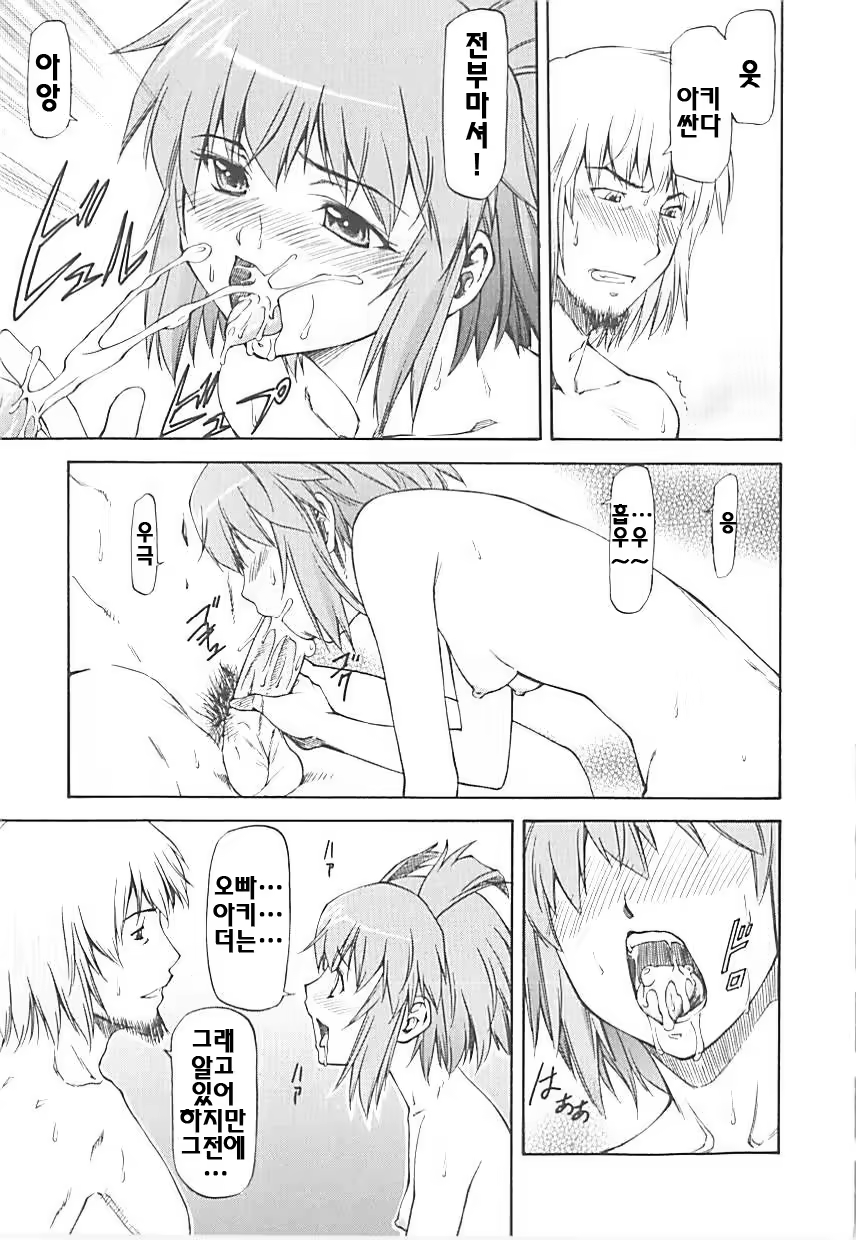 Content 325049 - 79 페이지