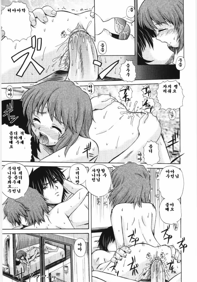 Content 326556 - 57 페이지