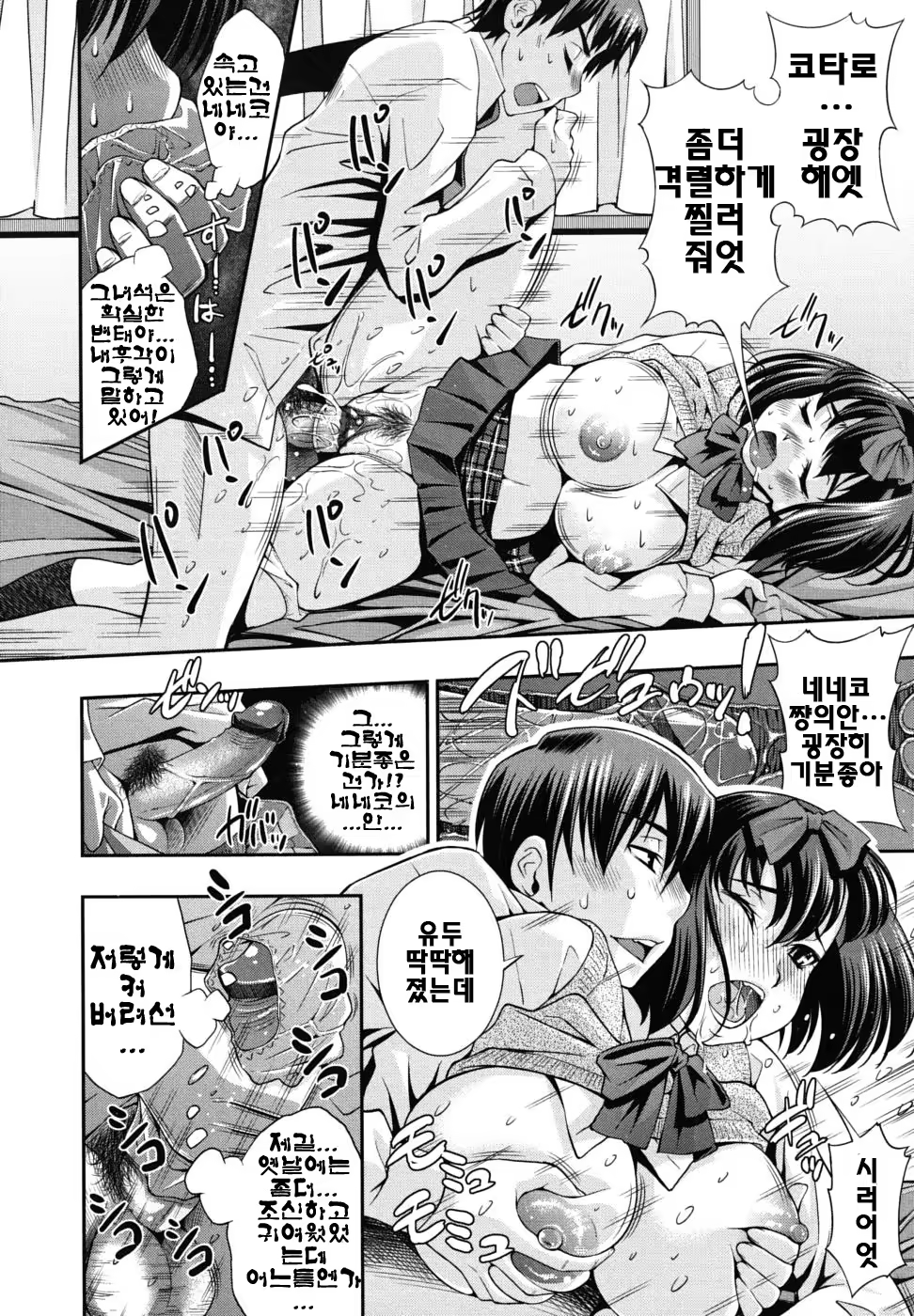 Content 326859 - 7 페이지