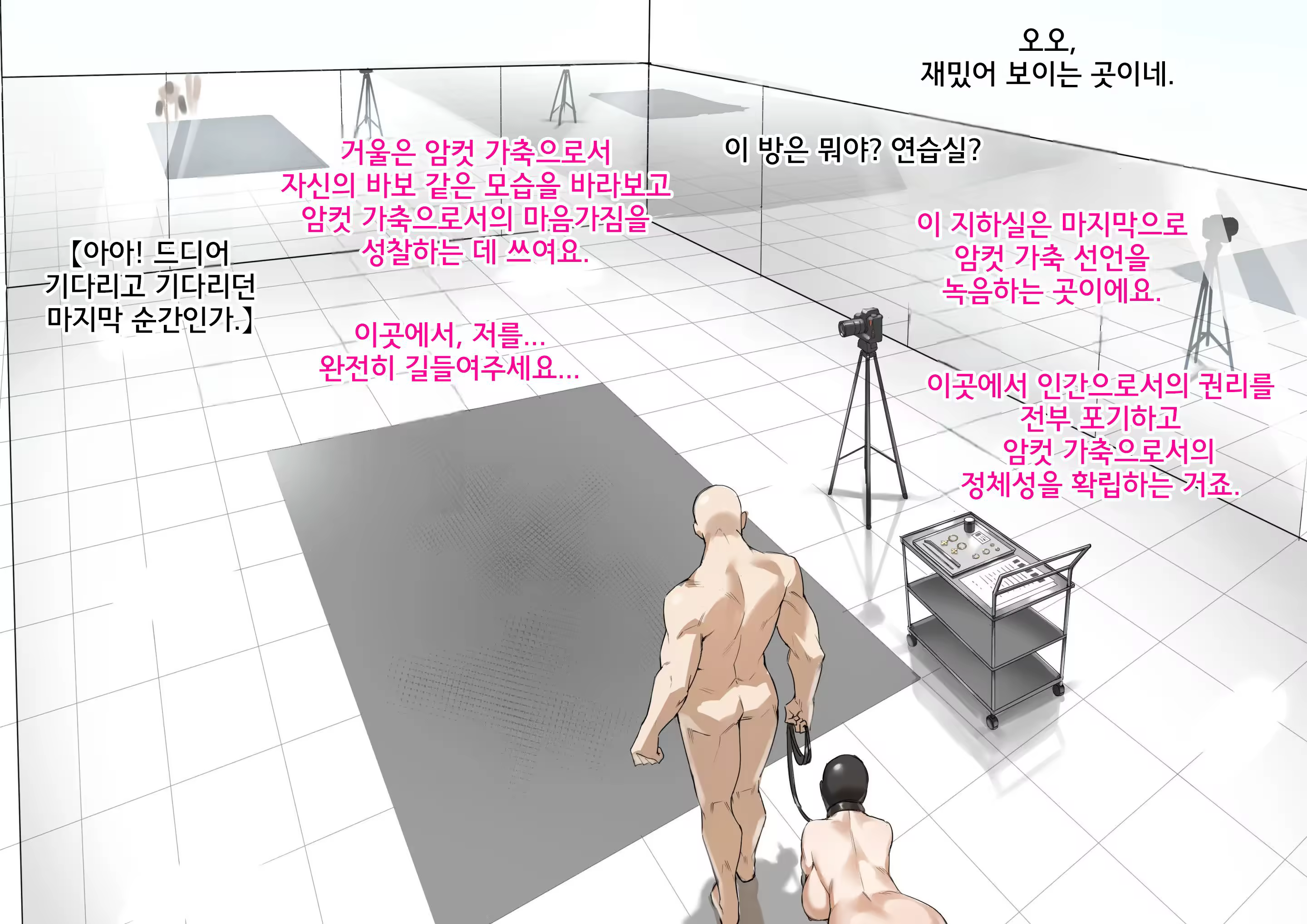 Content 3270694 - 72 페이지