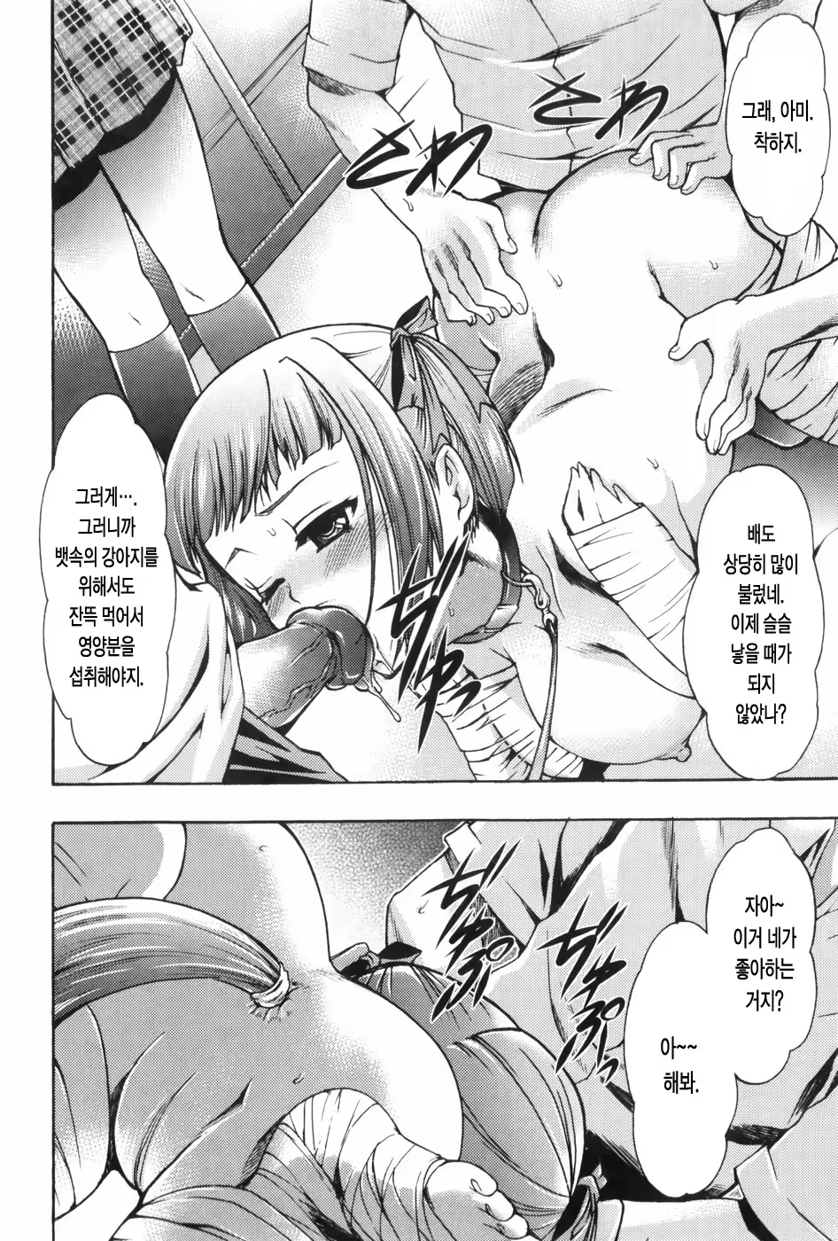 Content 327221 - 169 페이지