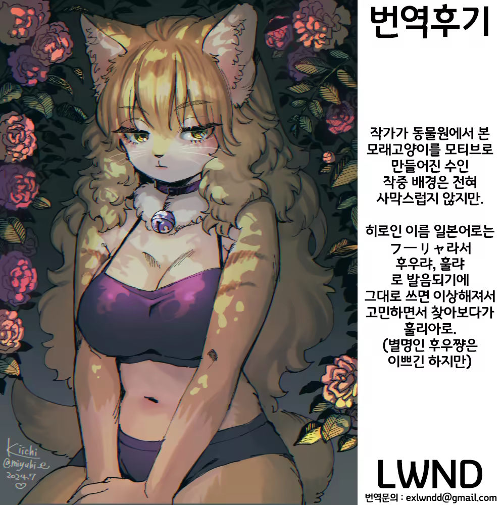Content 3273671 - 43 페이지