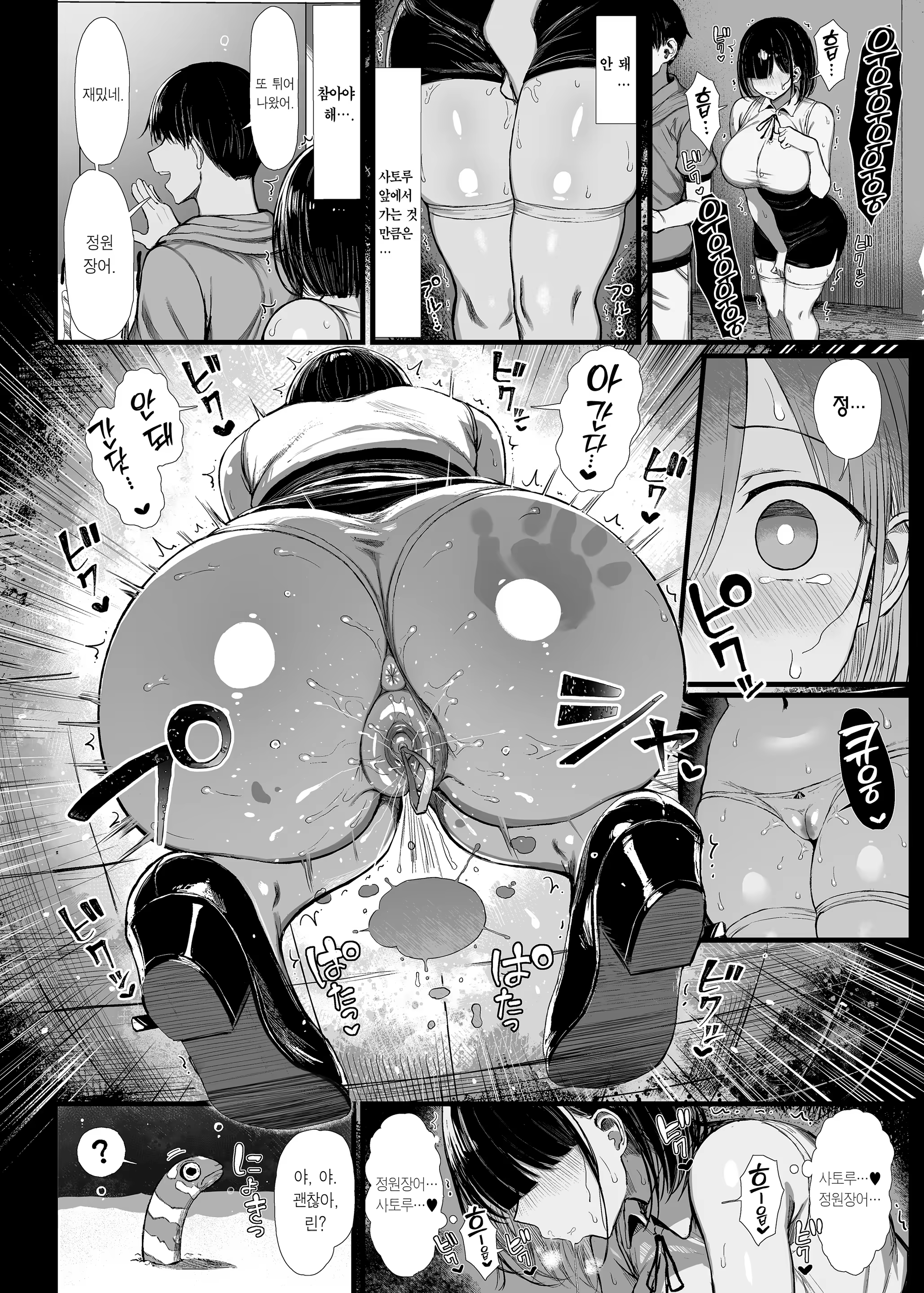 Content 3290881 - 15 페이지