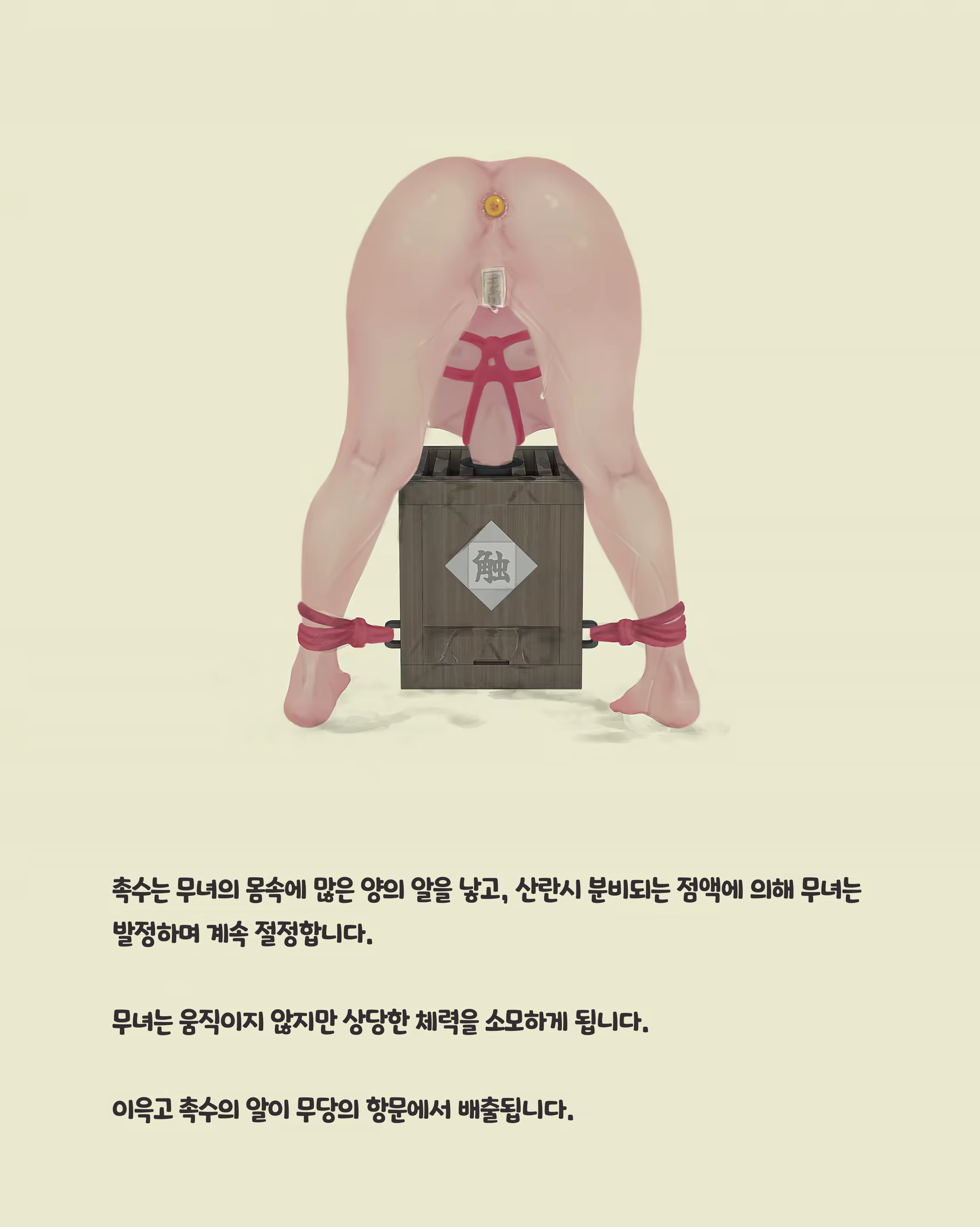 Content 3296504 - 282 페이지