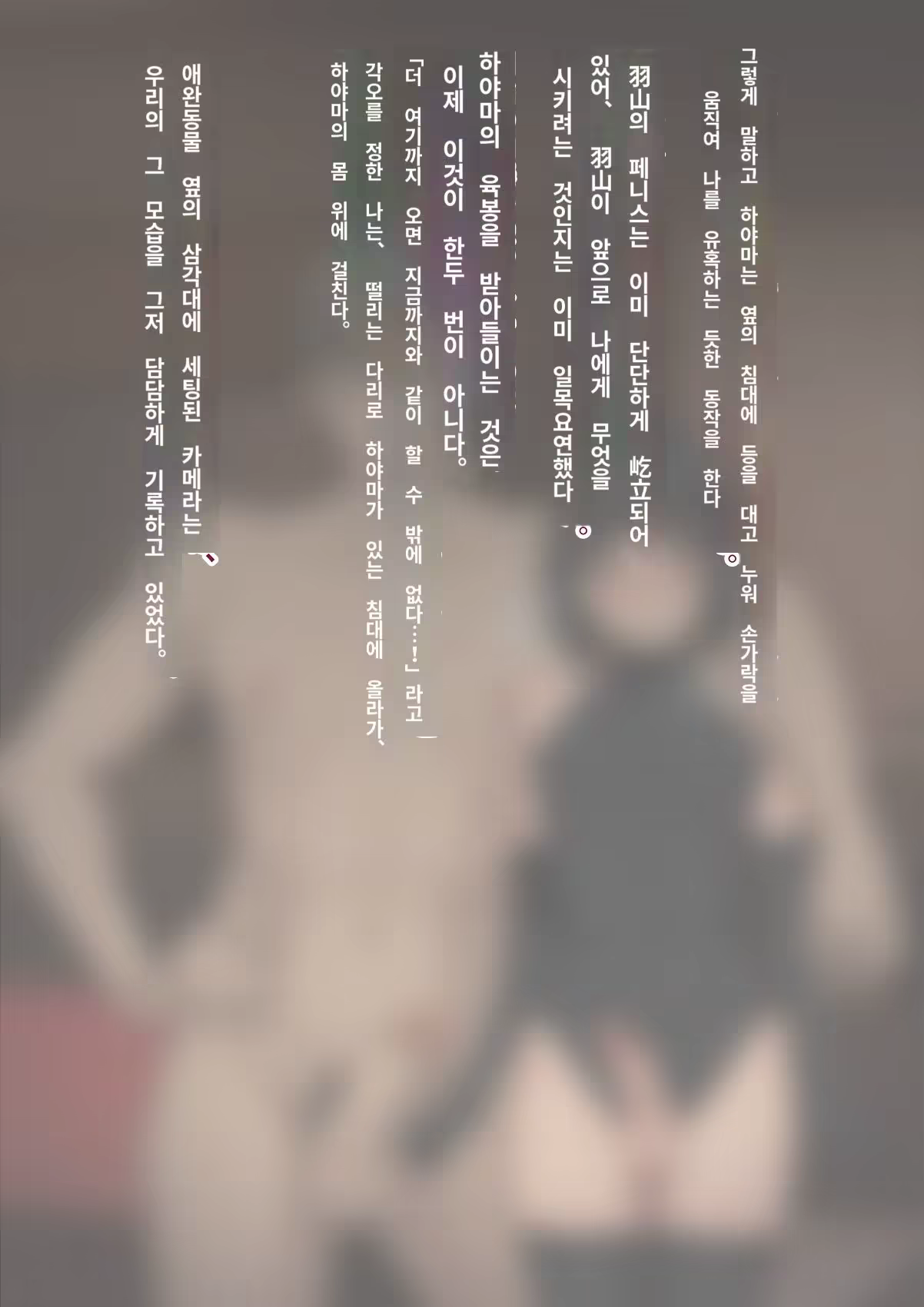 Content 3308349 - 193 페이지