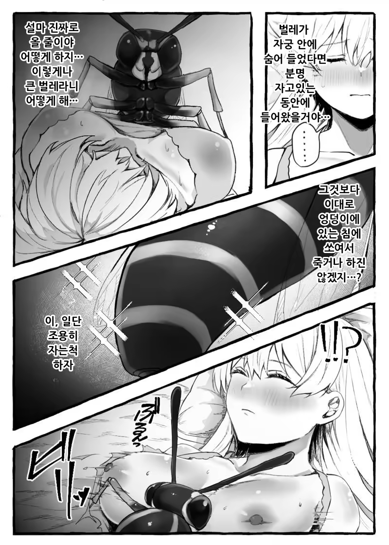 Content 3309456 - 62 페이지
