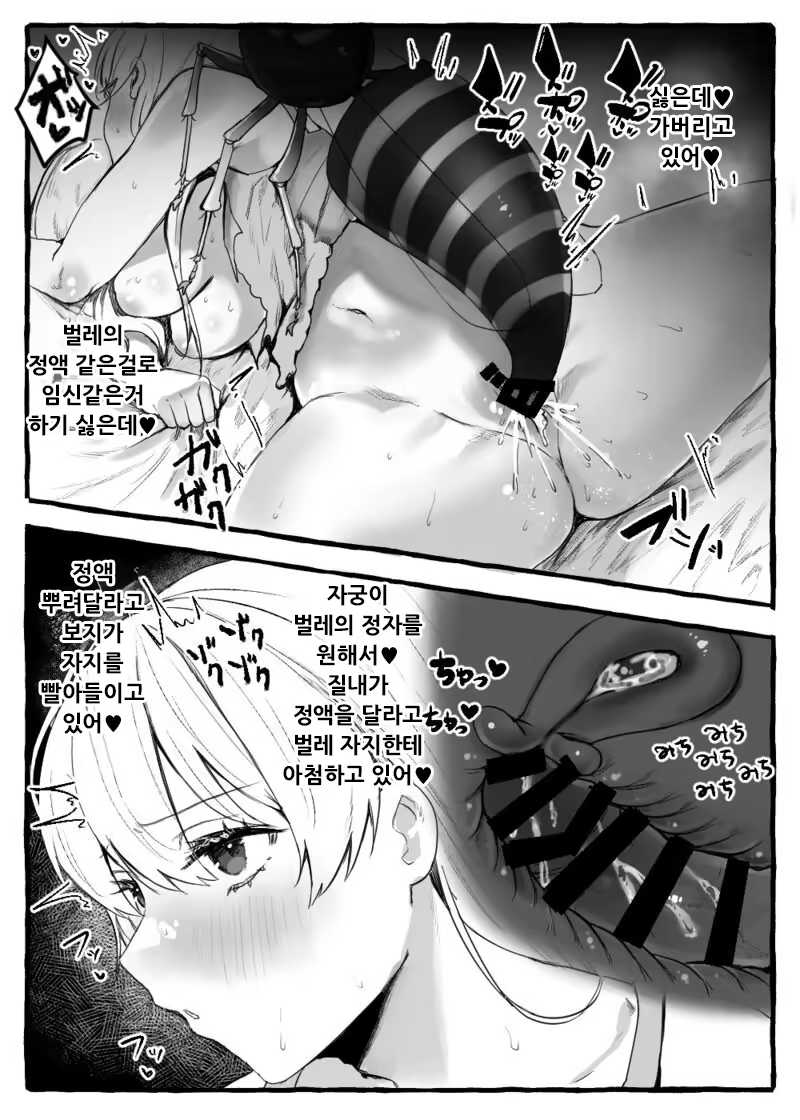Content 3309456 - 76 페이지