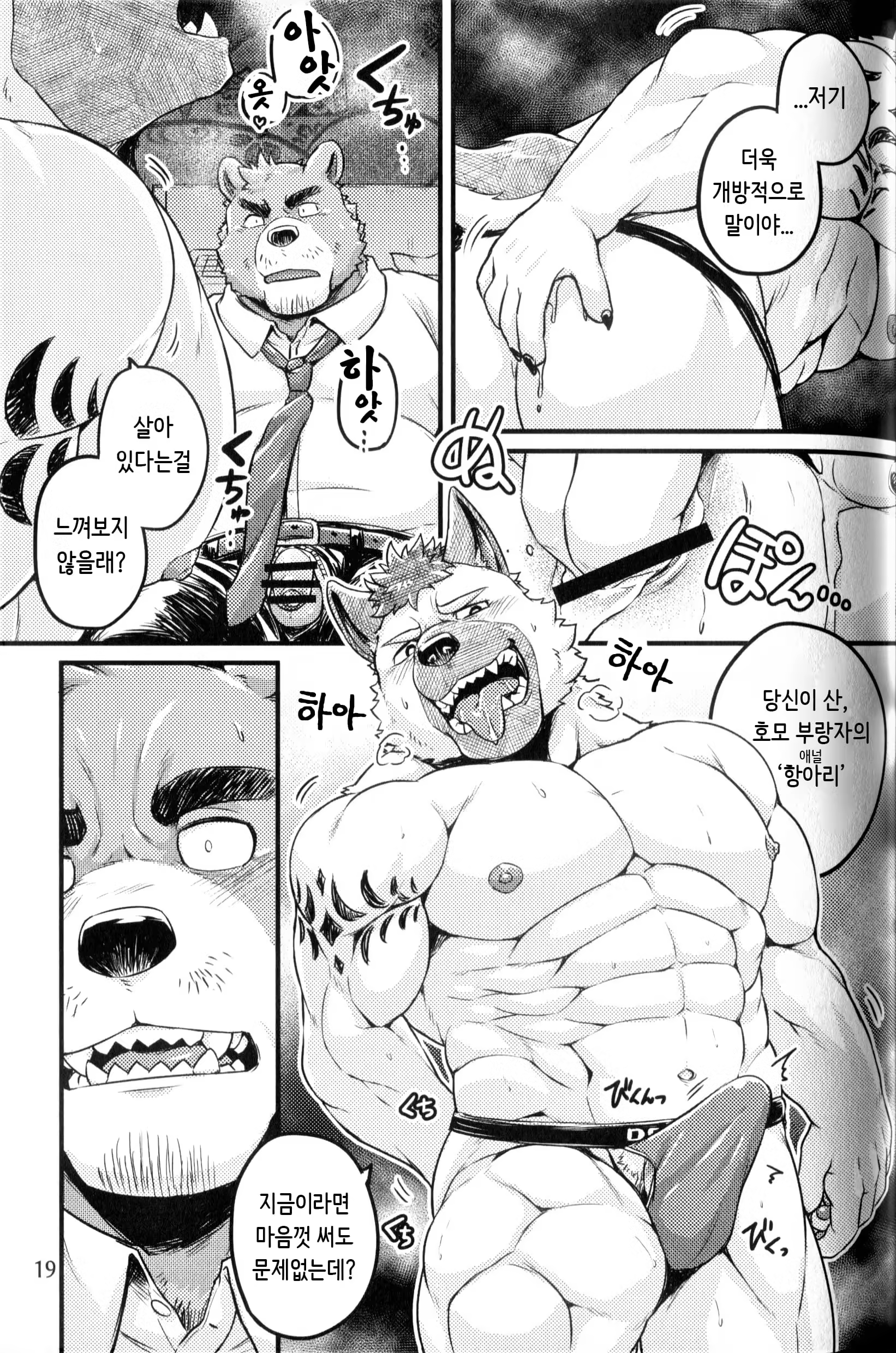 Content 3310097 - 19 페이지