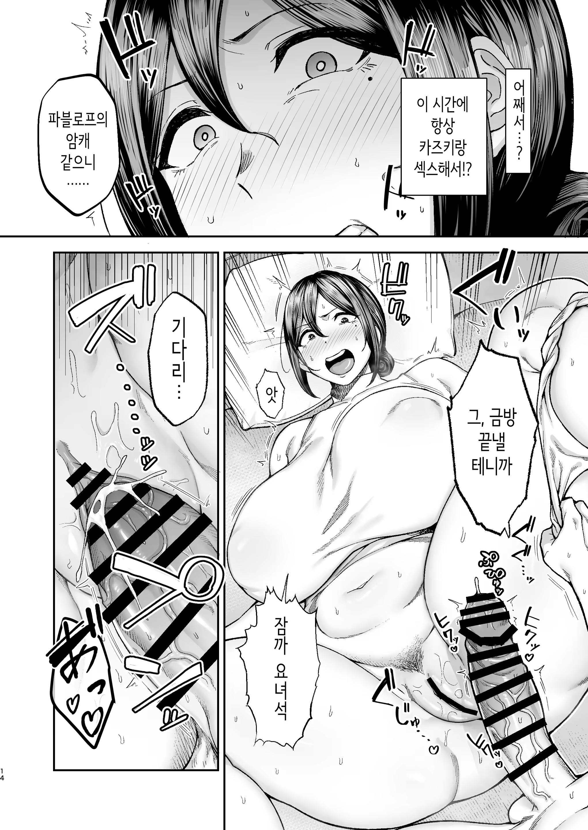 Content 3314406 - 15 페이지
