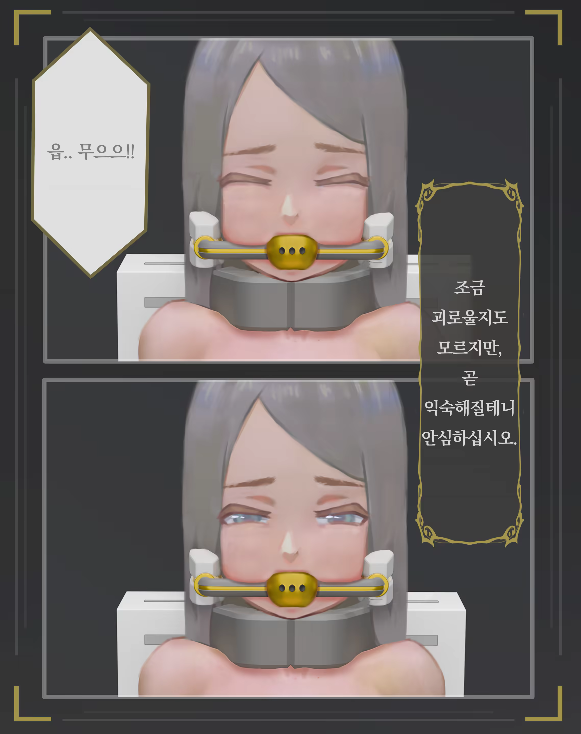 Content 3322524 - 339 페이지