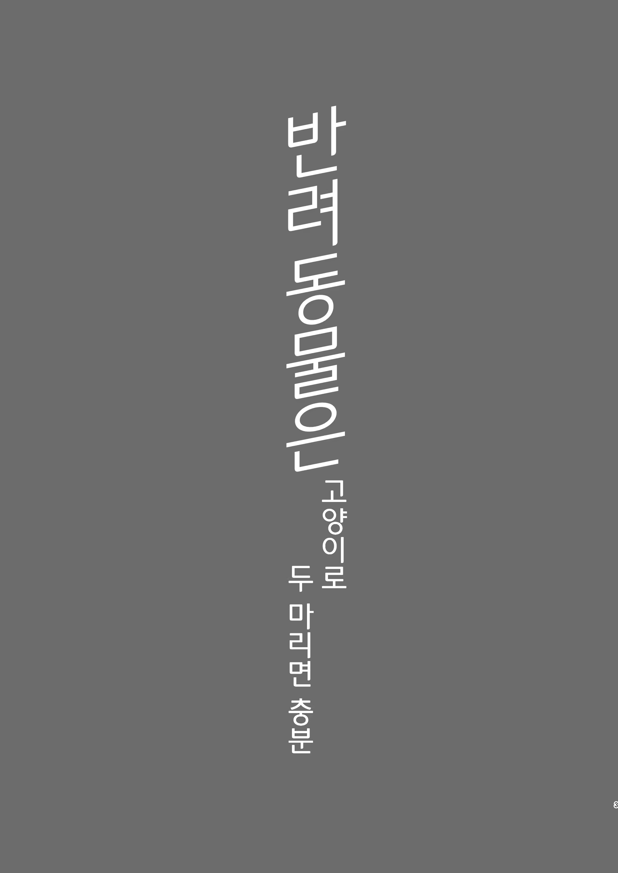Content 3323706 - 3 페이지