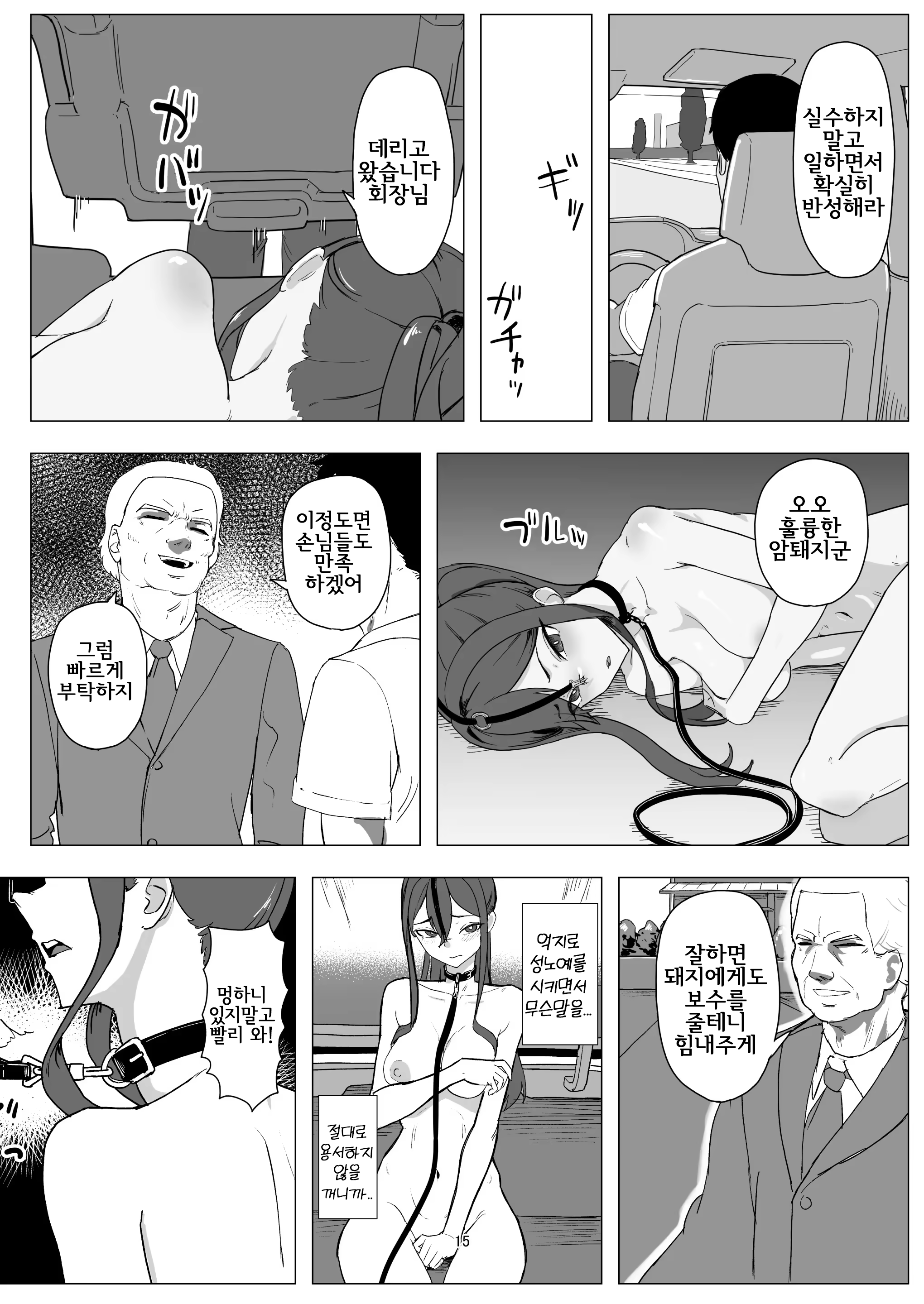 Content 3323759 - 15 페이지