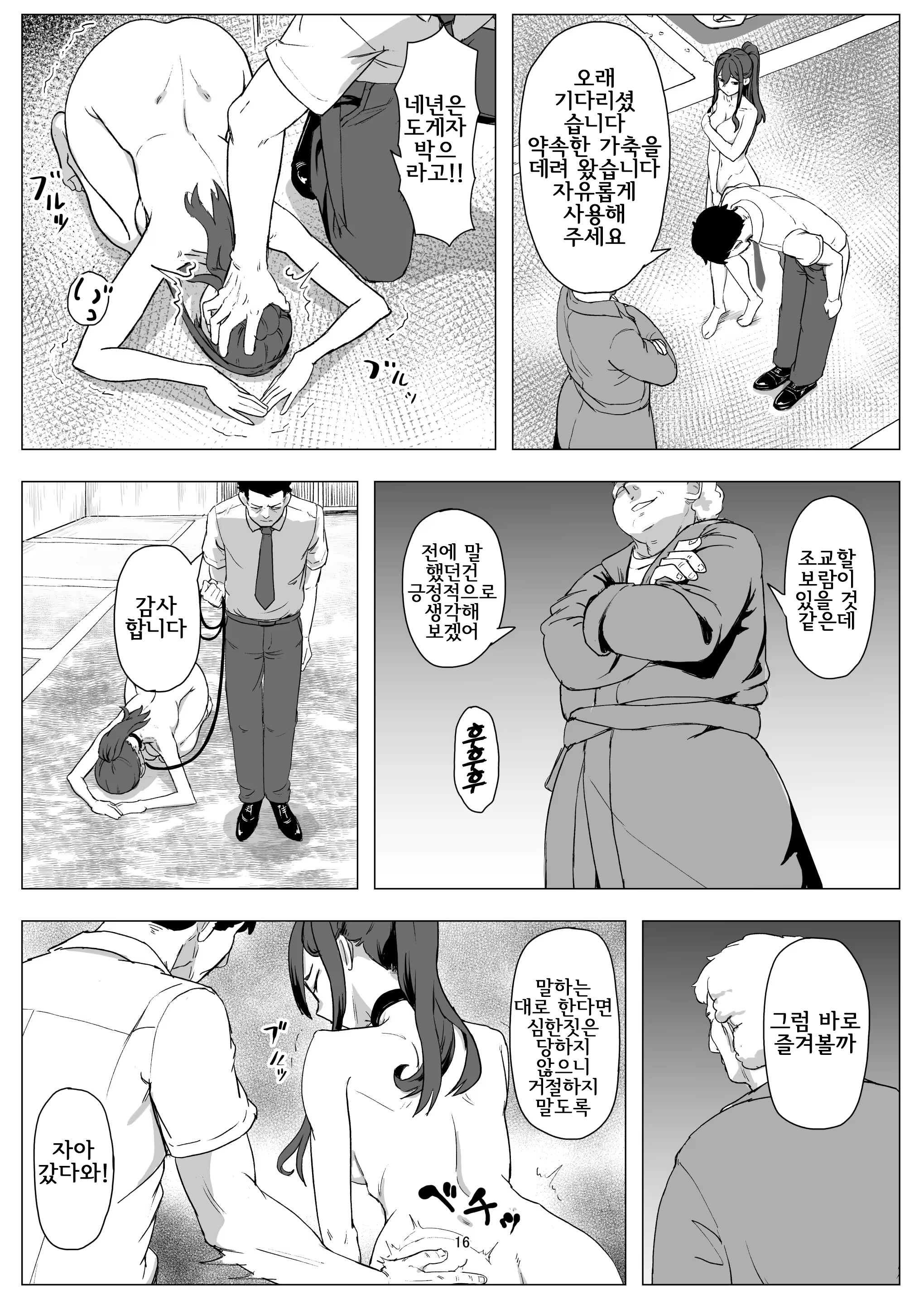 Content 3323759 - 16 페이지