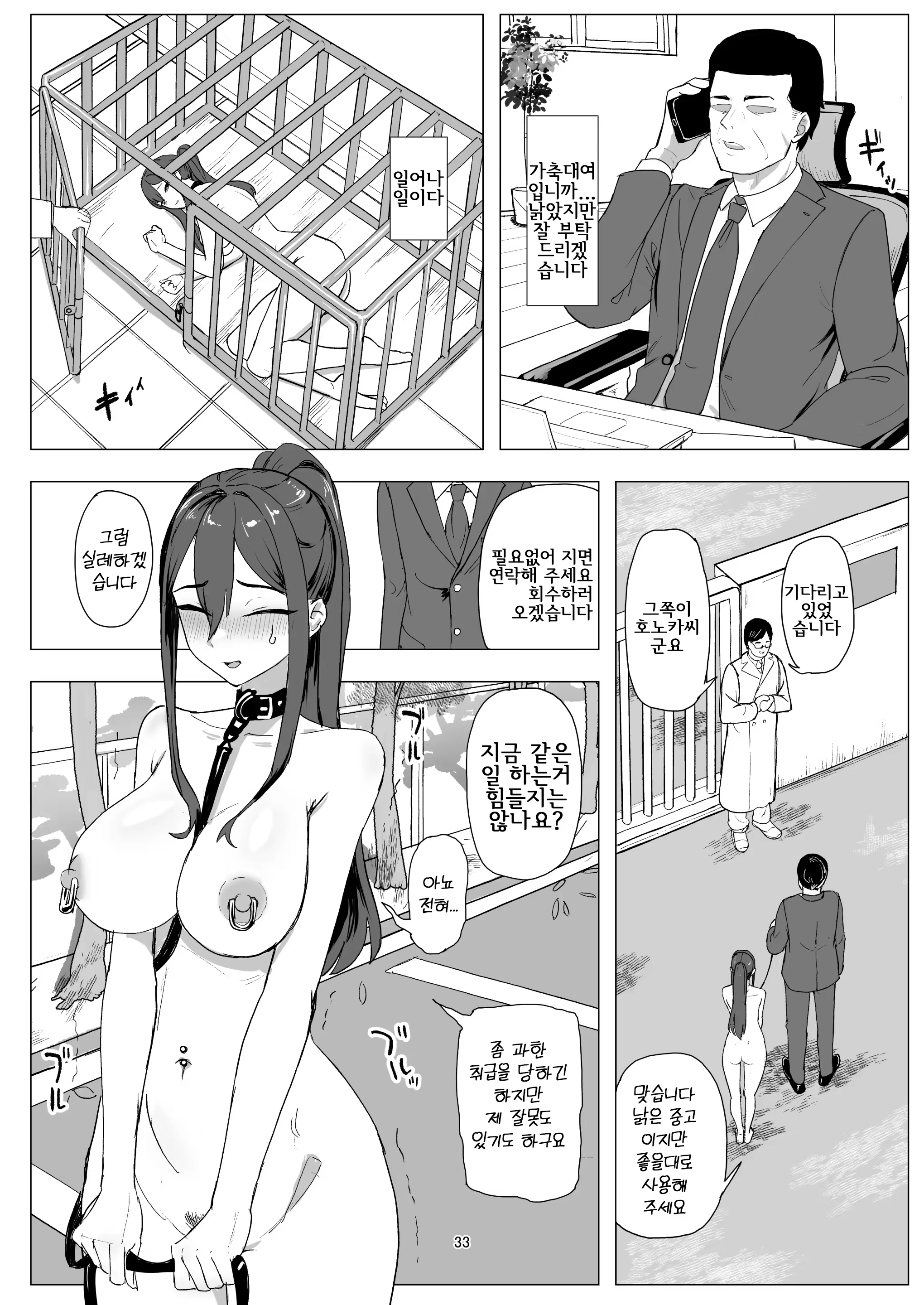 Content 3323759 - 33 페이지