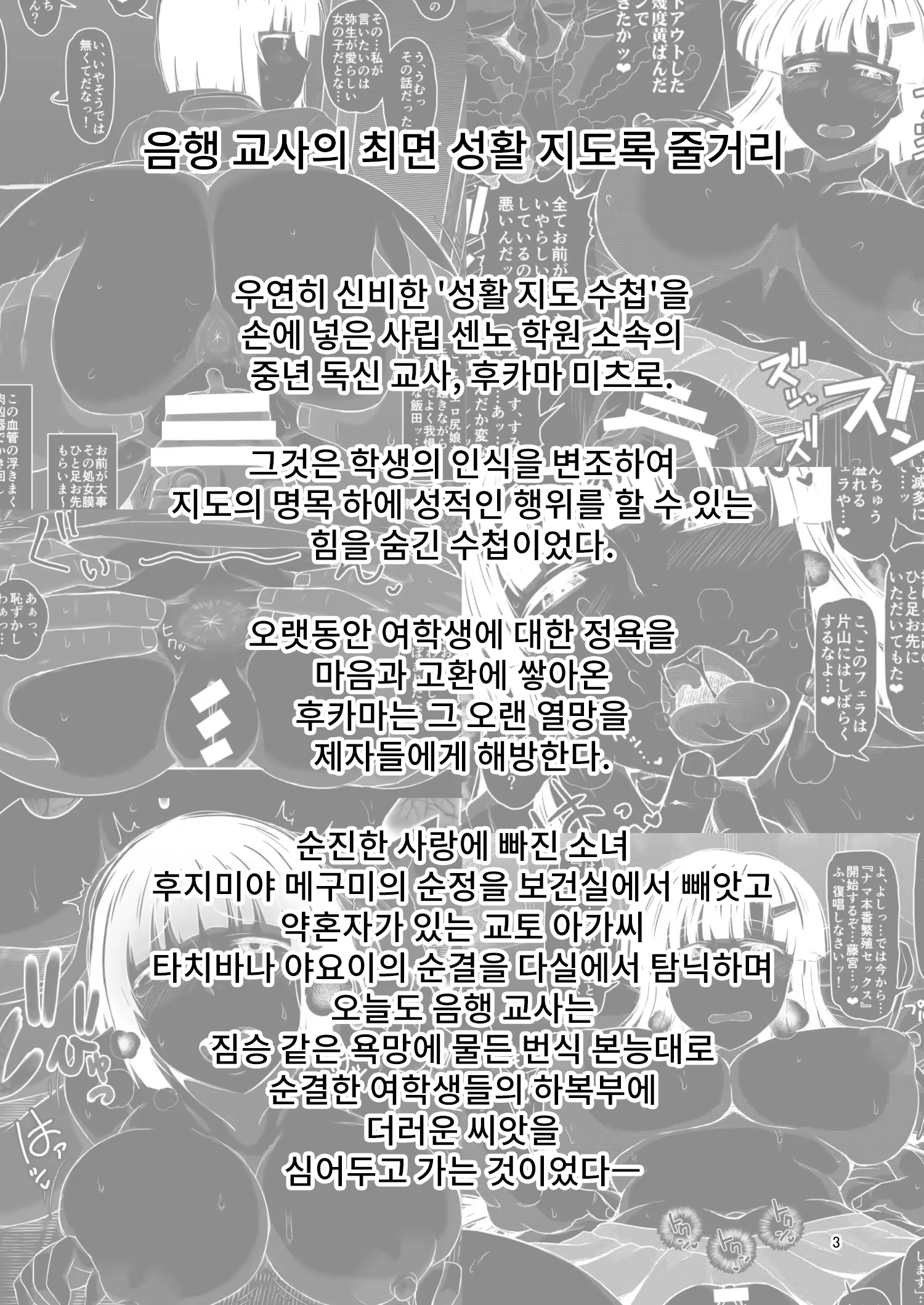 Content 3339481 - 3 페이지