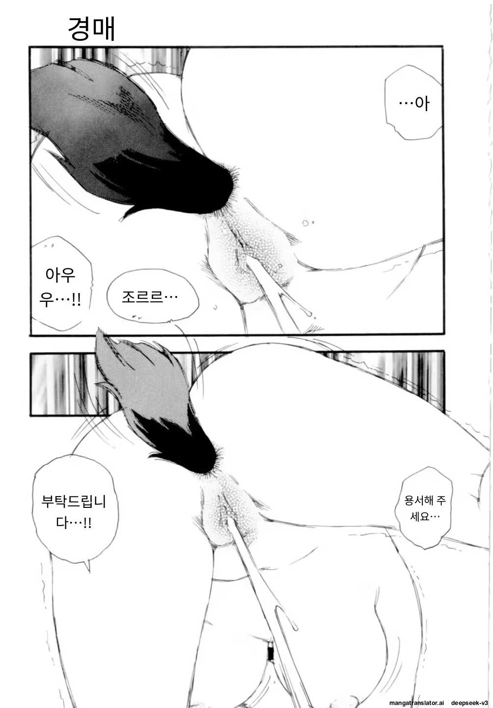 Content 3365063 - 163 페이지