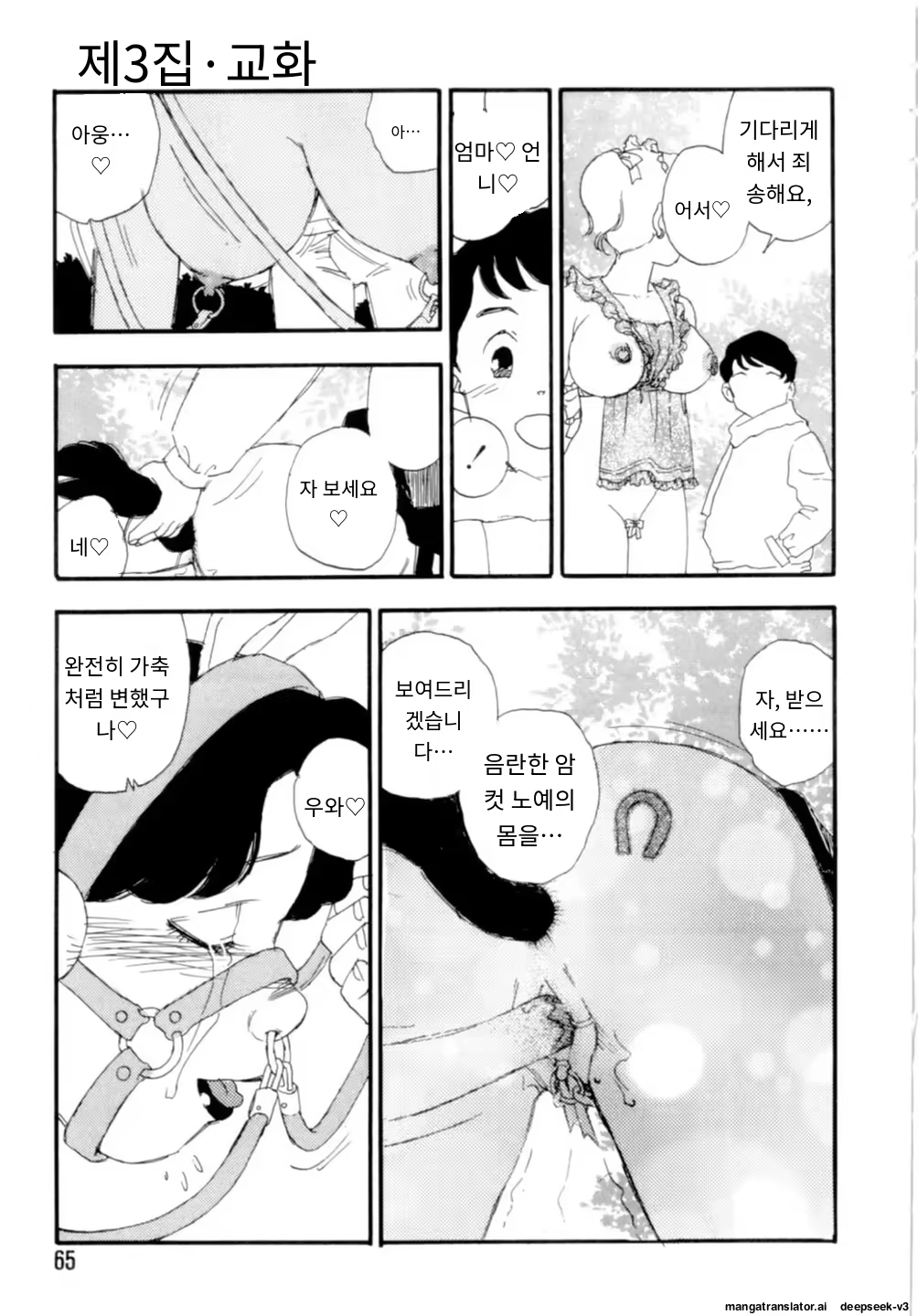Content 3365063 - 65 페이지