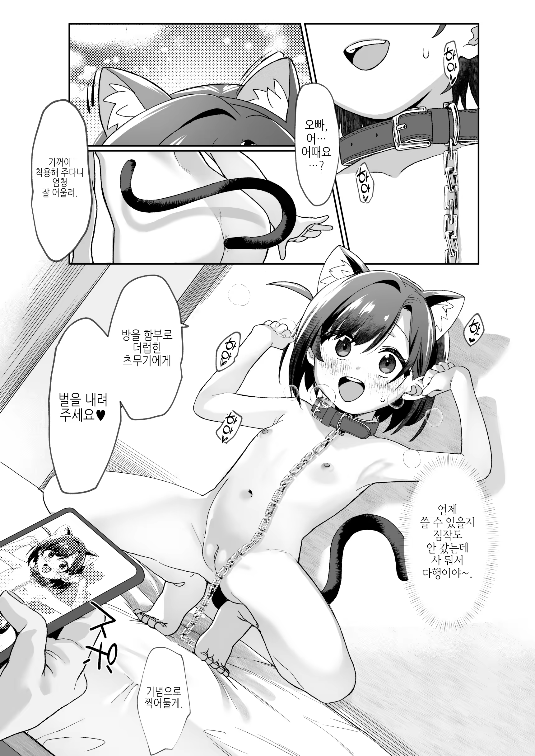 Content 3365244 - 16 페이지