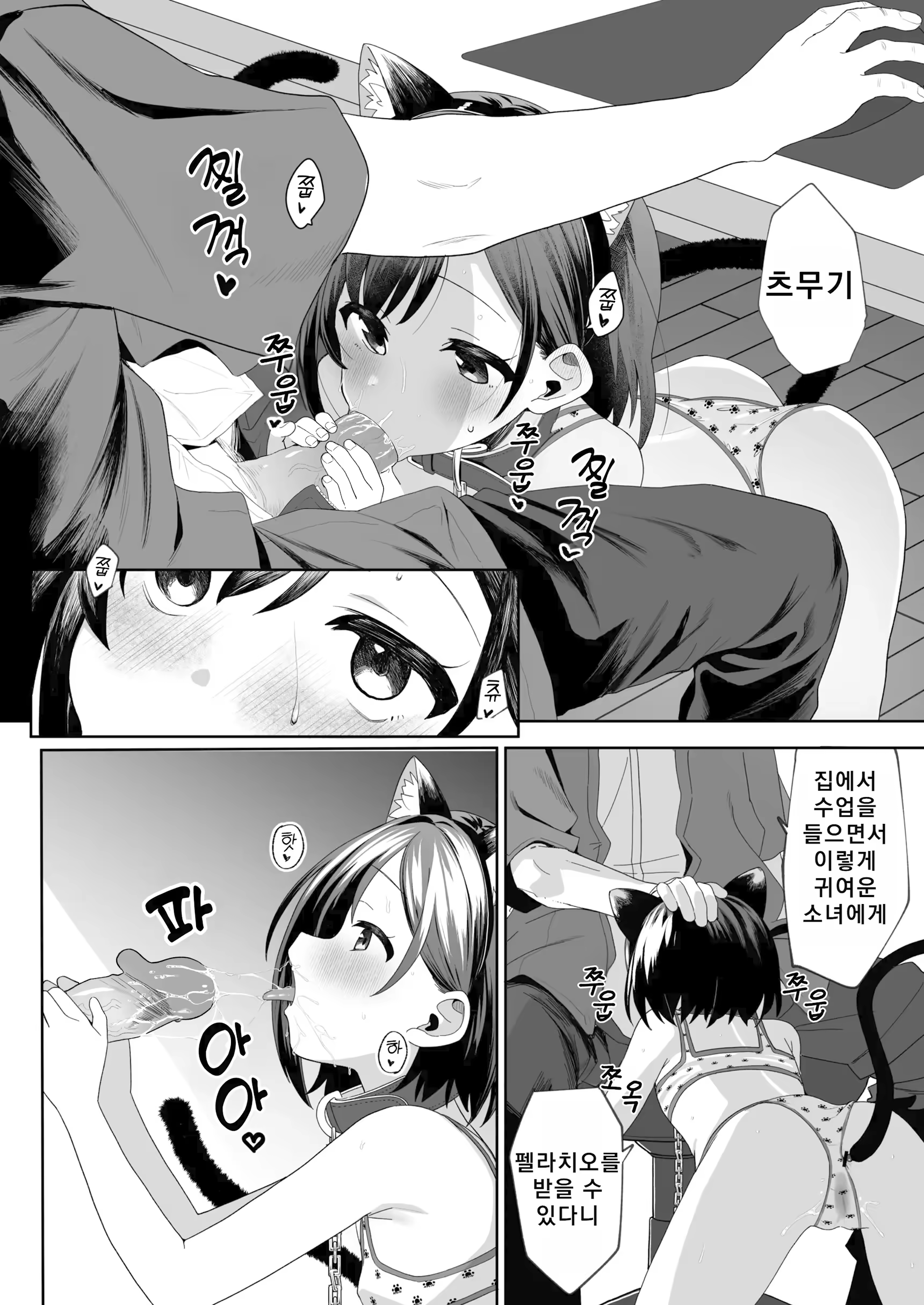 Content 3365244 - 34 페이지