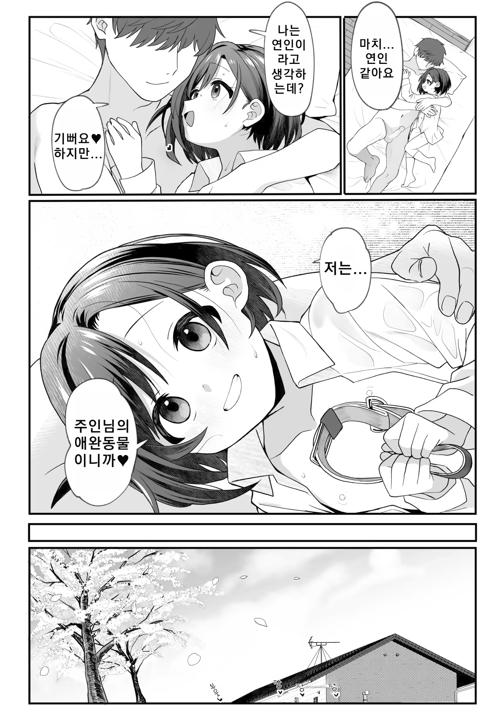 Content 3365244 - 66 페이지