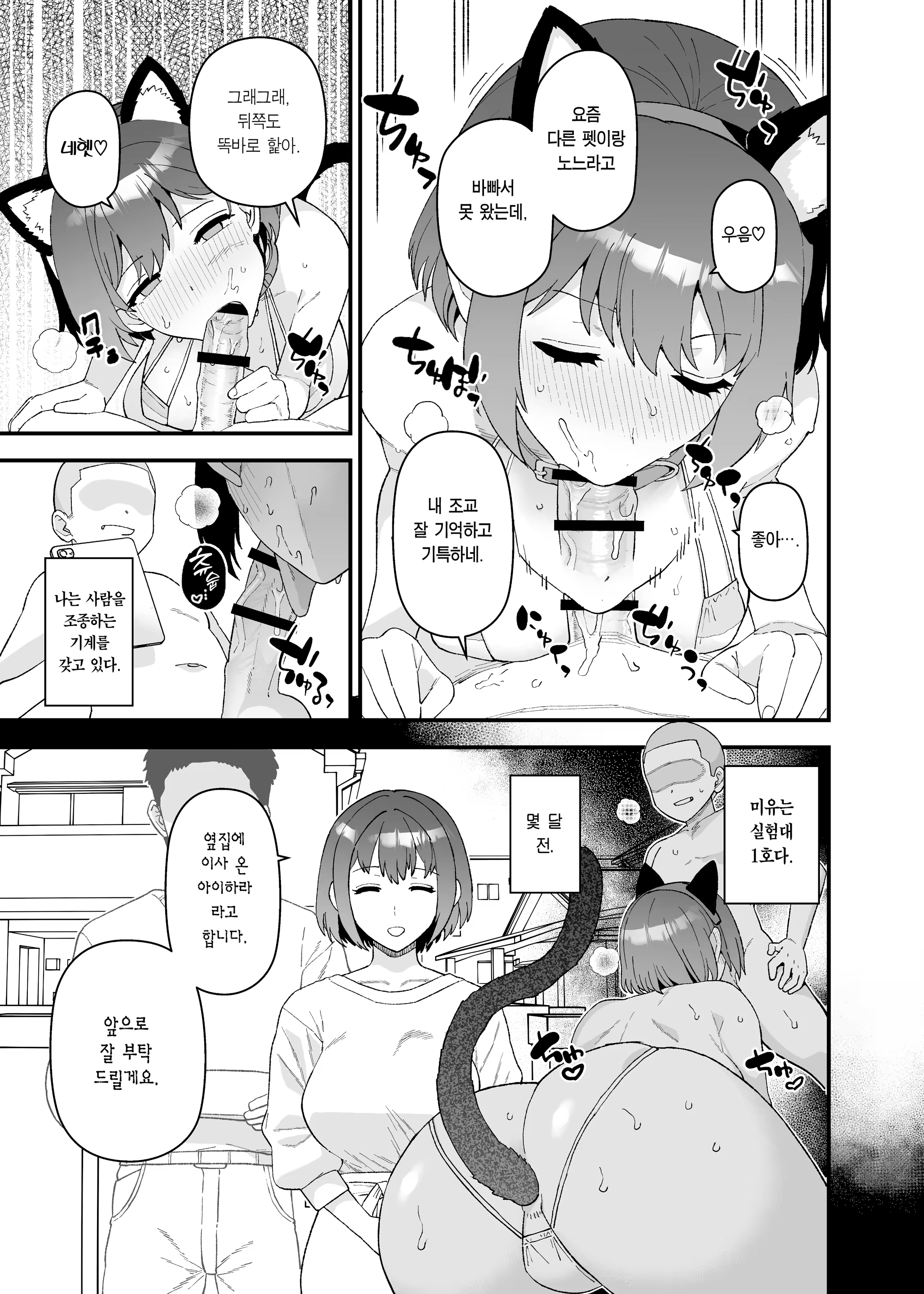 Content 3371463 - 51 페이지