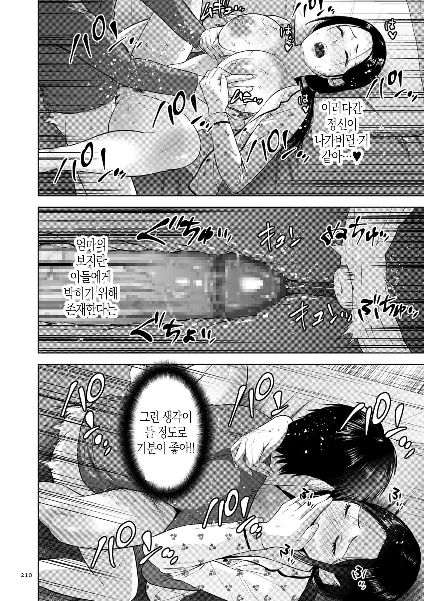 Content 3377368 - 210 페이지
