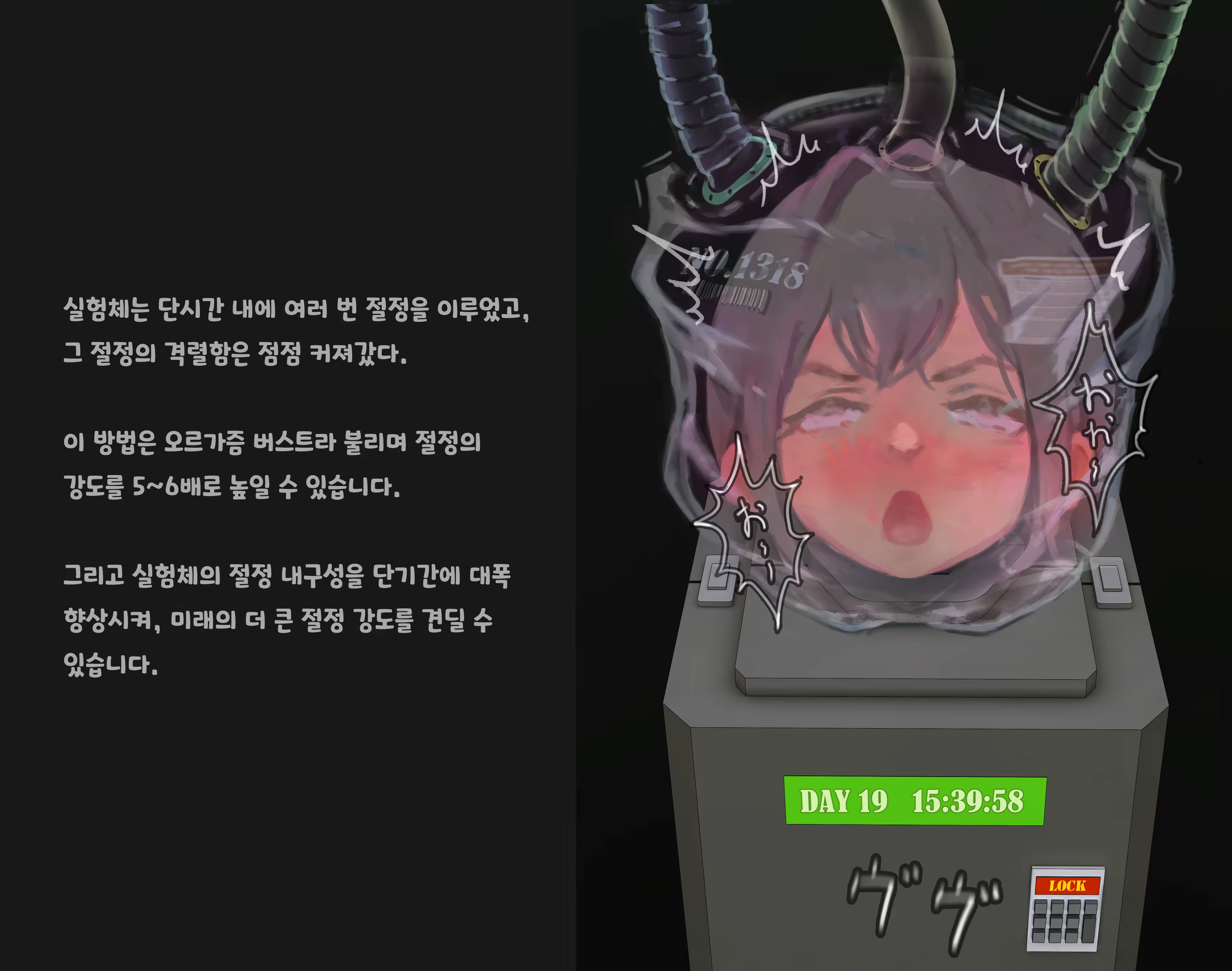 Content 3383368 - 184 페이지
