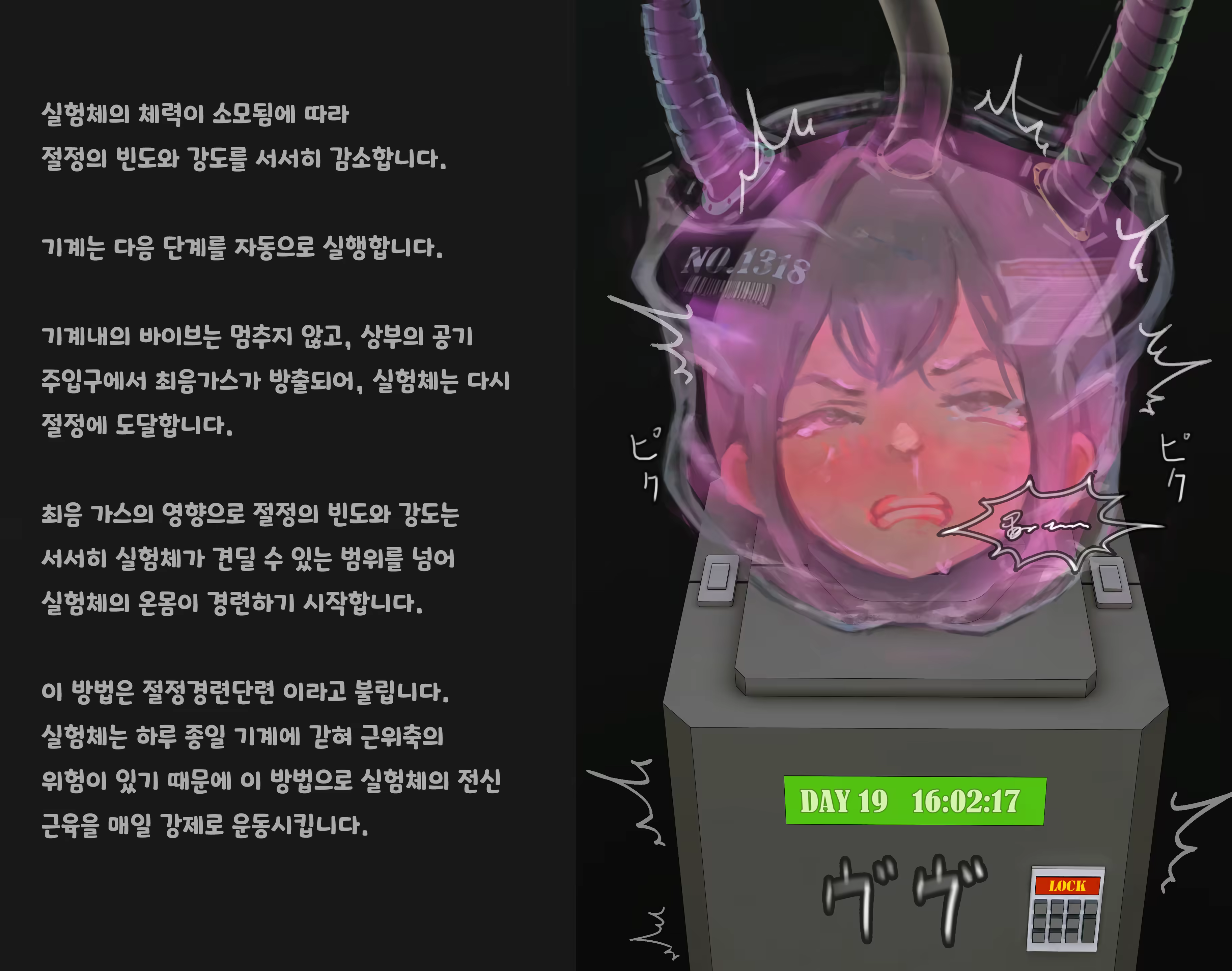Content 3383368 - 185 페이지