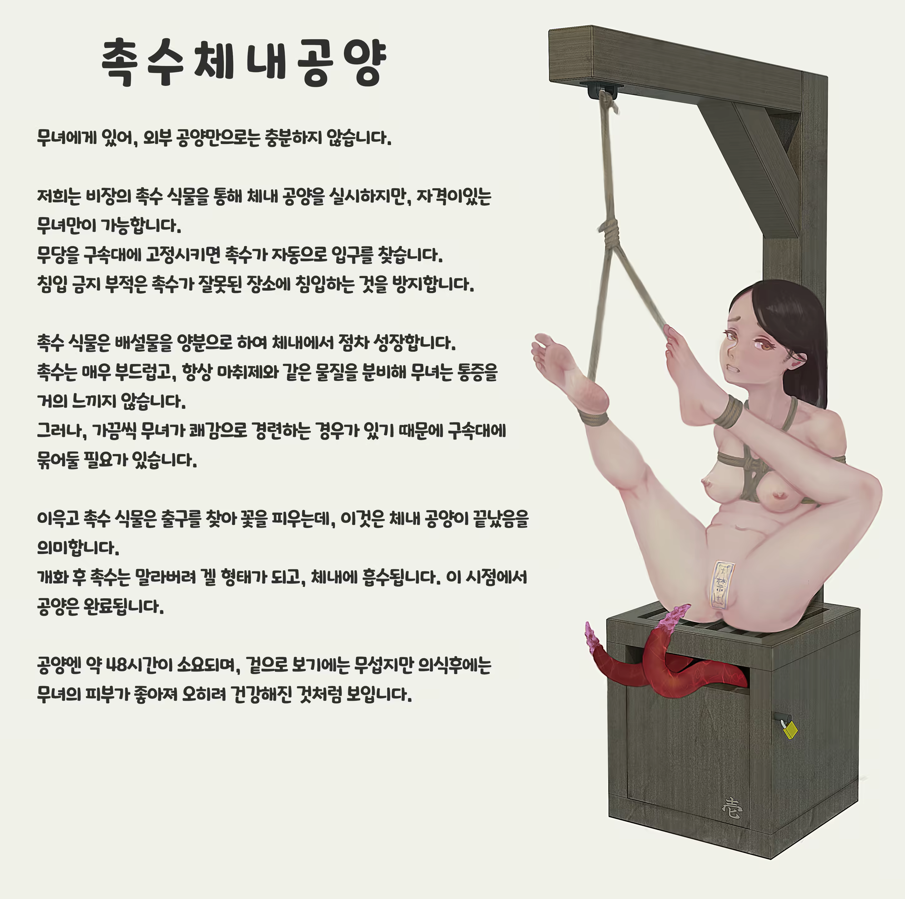 Content 3383368 - 207 페이지