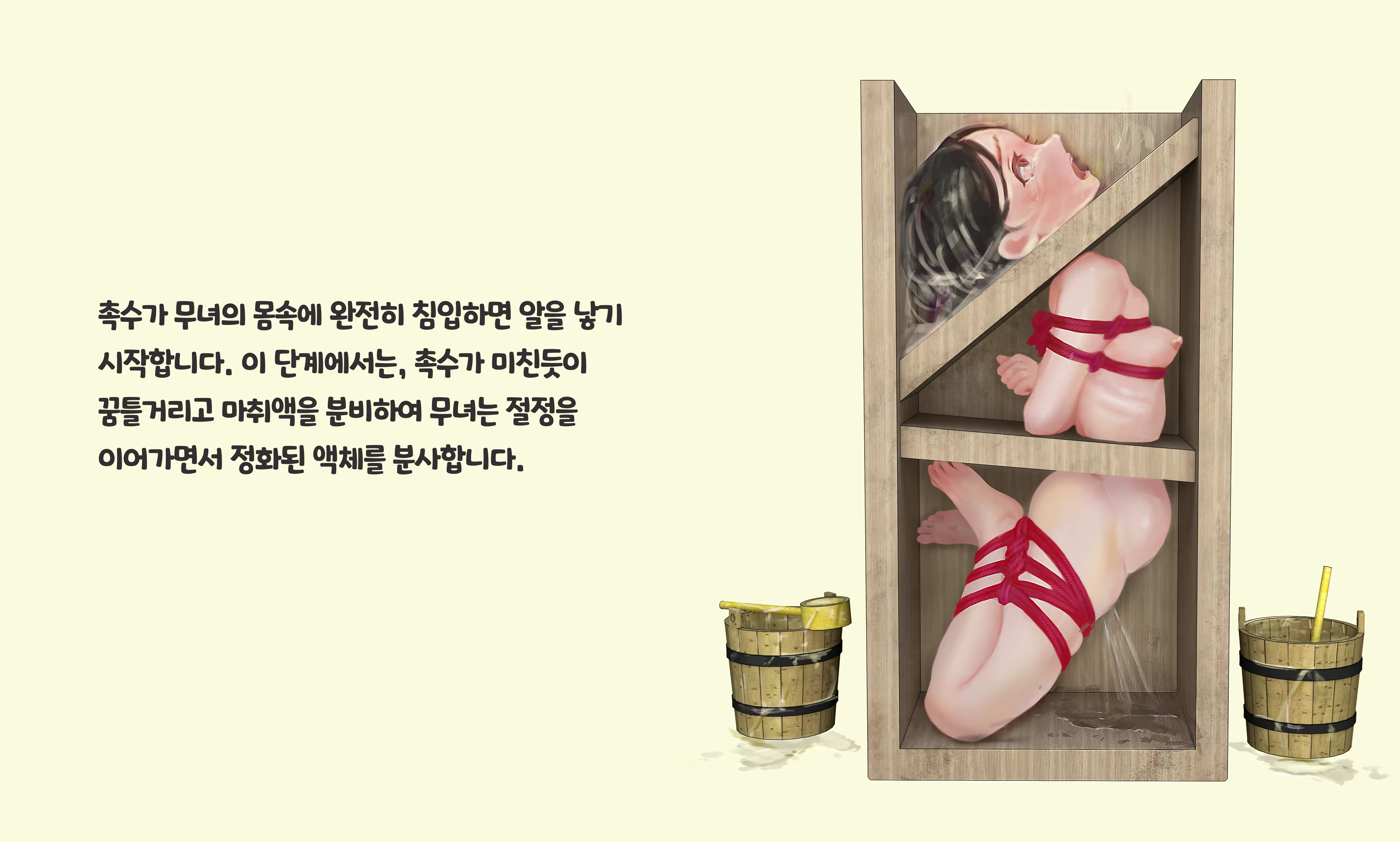Content 3383368 - 272 페이지