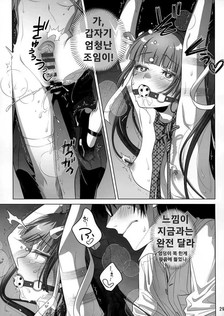 Content 3383762 - 28 페이지