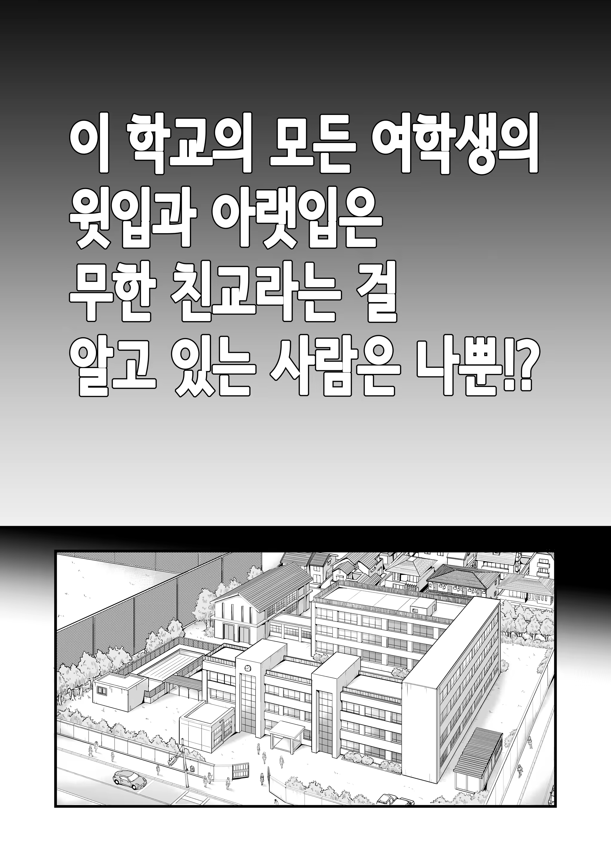 Content 3386281 - 79 페이지
