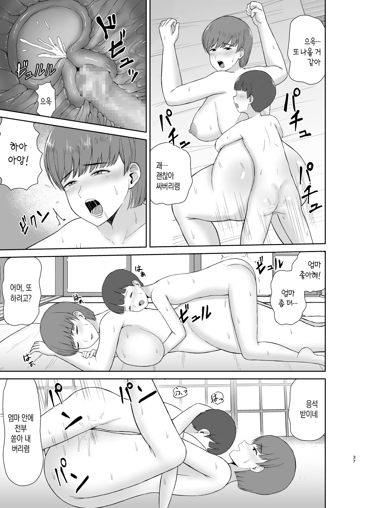 Content 3388052 - 37 페이지